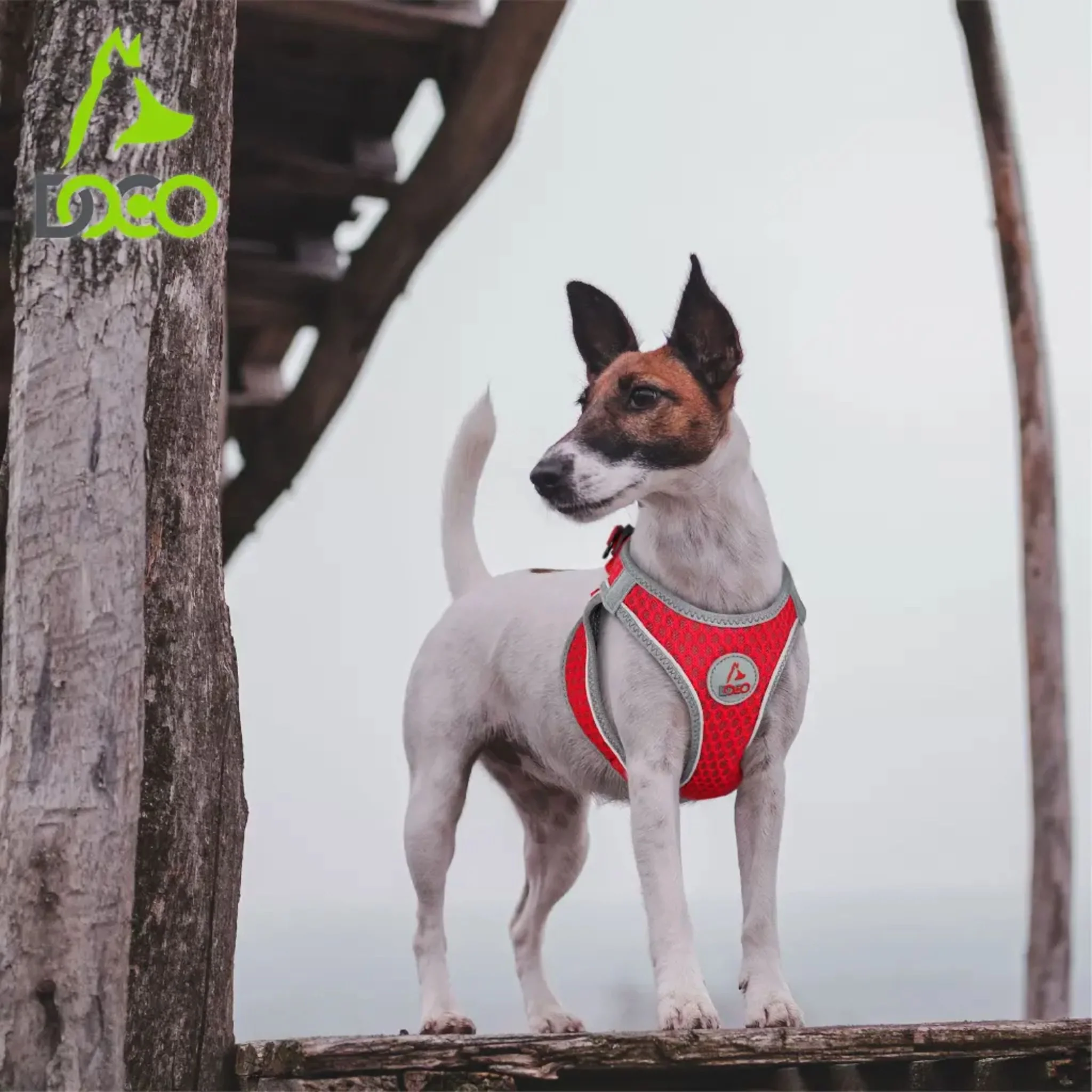 Doco Net Mesh Sport Dog Harness XXS Turquoise - 30-34cm/1-2kg - Image 6