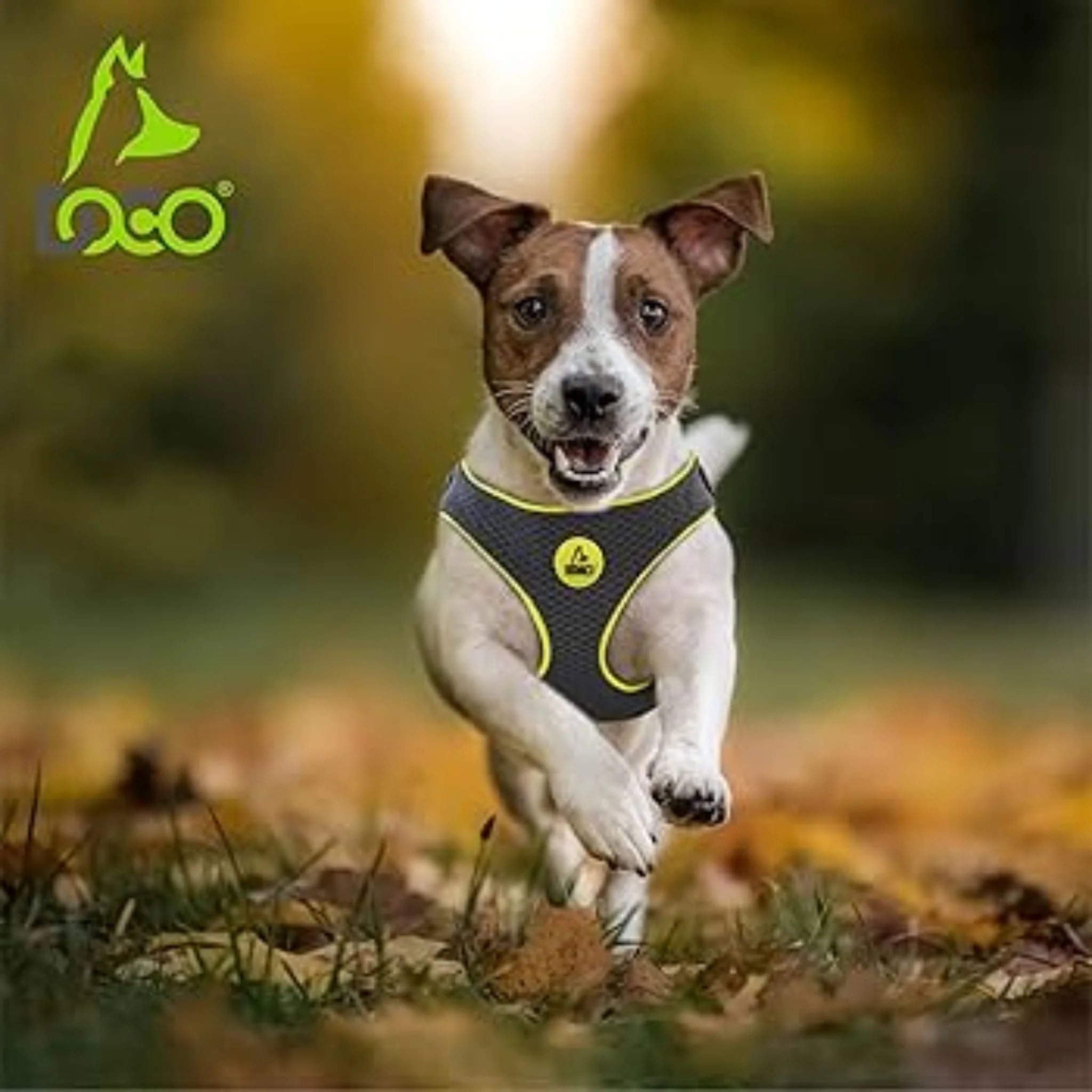 Doco Reflective Chest Plate Mesh Dog Walking Harness - Image 6