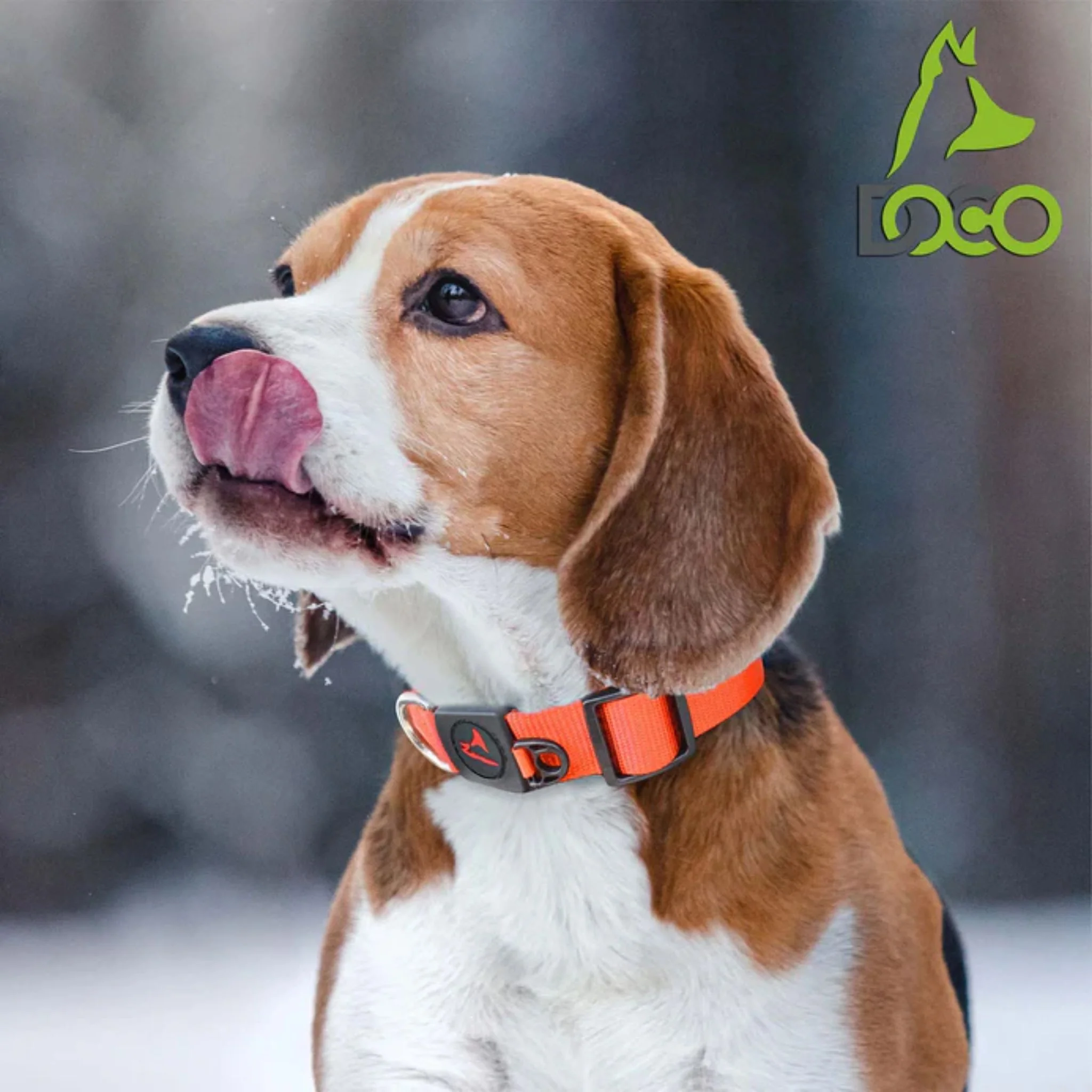 Doco Signature Nylon Dog Collar - Image 2