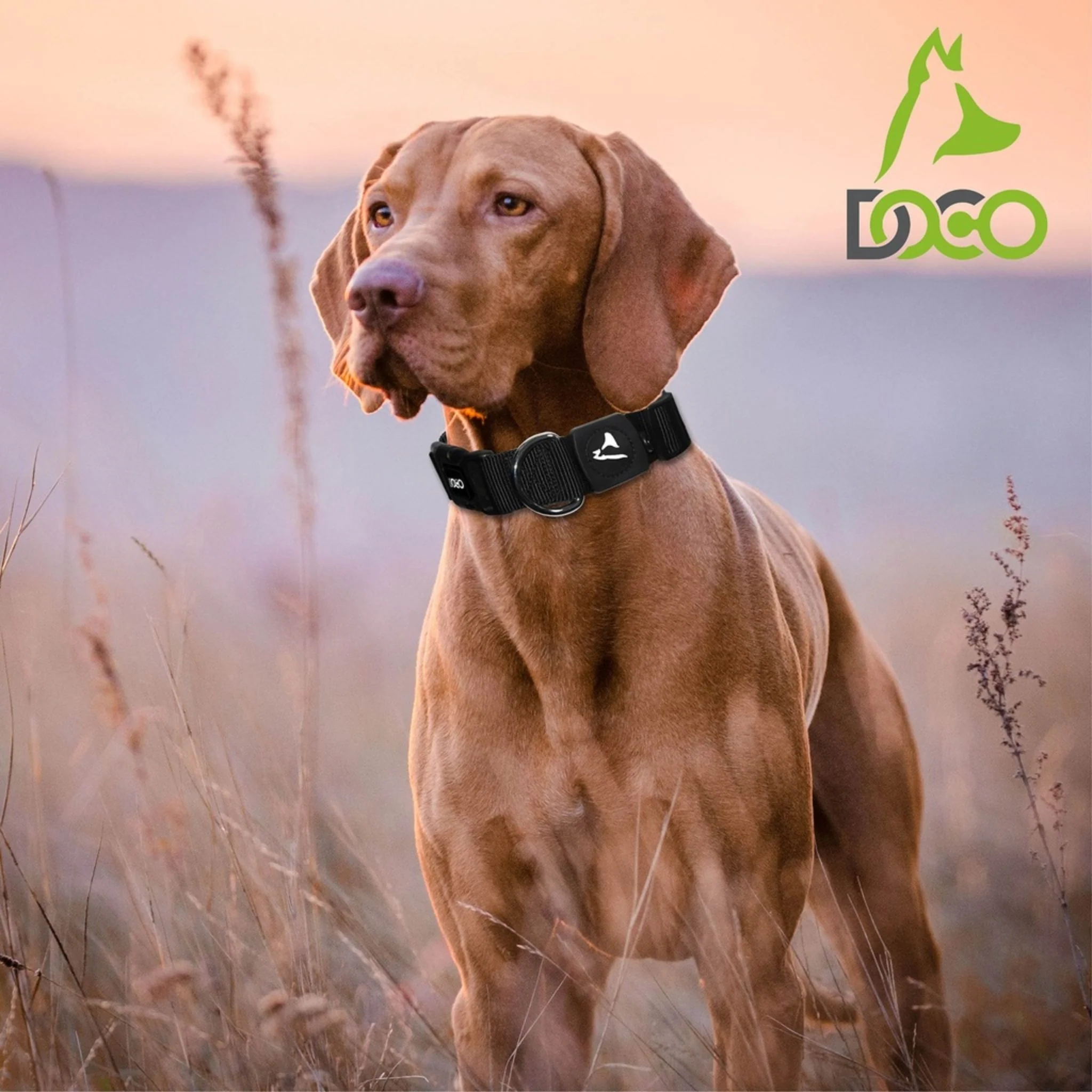 Doco Signature Nylon Dog Collar Pink - Xl - Image 3