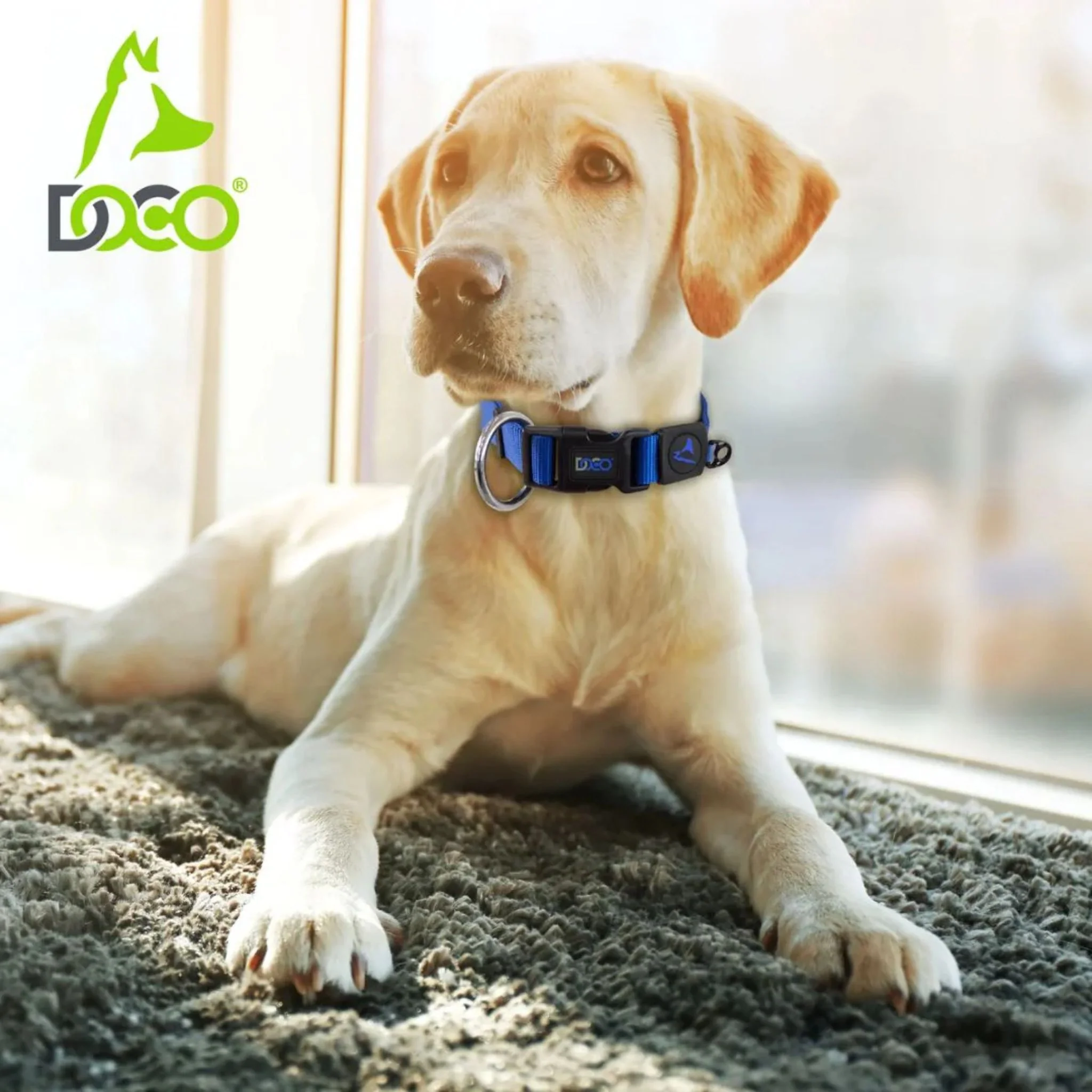 Doco Signature O-Ring Nylon Dog Collar Durable Dog Accessory - Image 9
