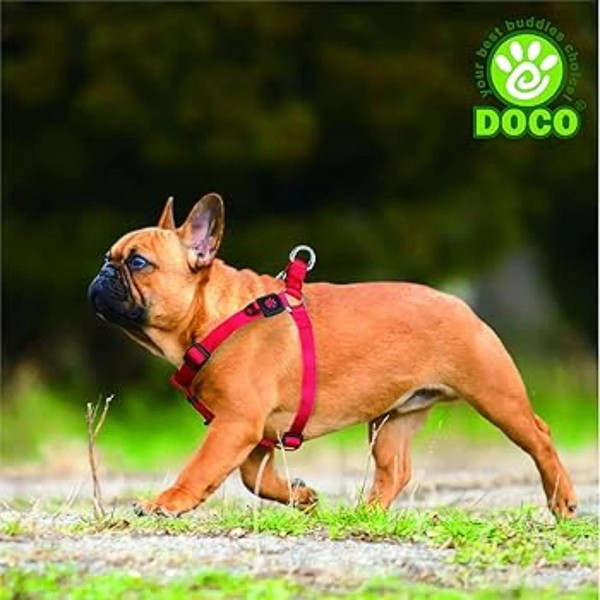 Doco Signature Step-In Harness + Nylon Dog Leash - Image 4