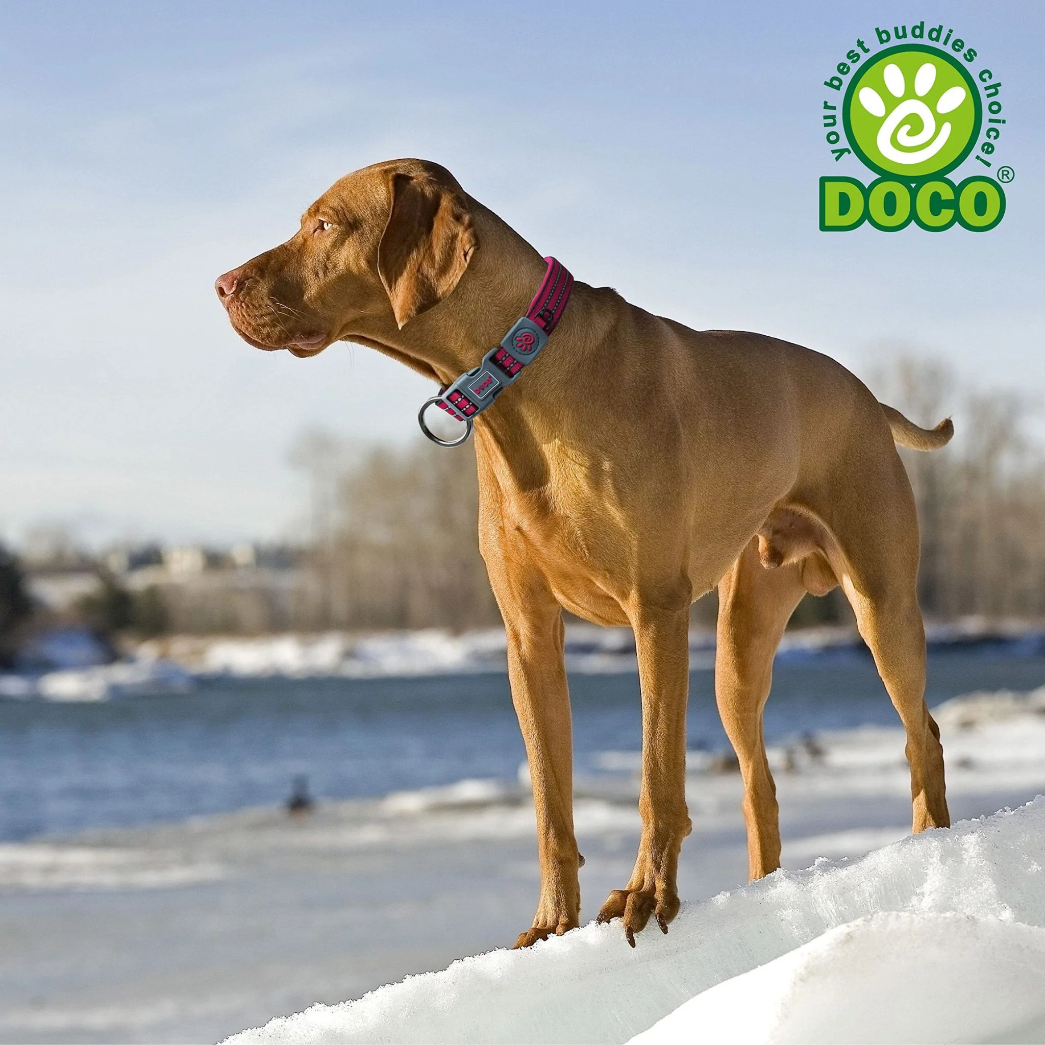 Doco Vario Ring Dog Collar With Reflective Stitching Red - XL - Image 4