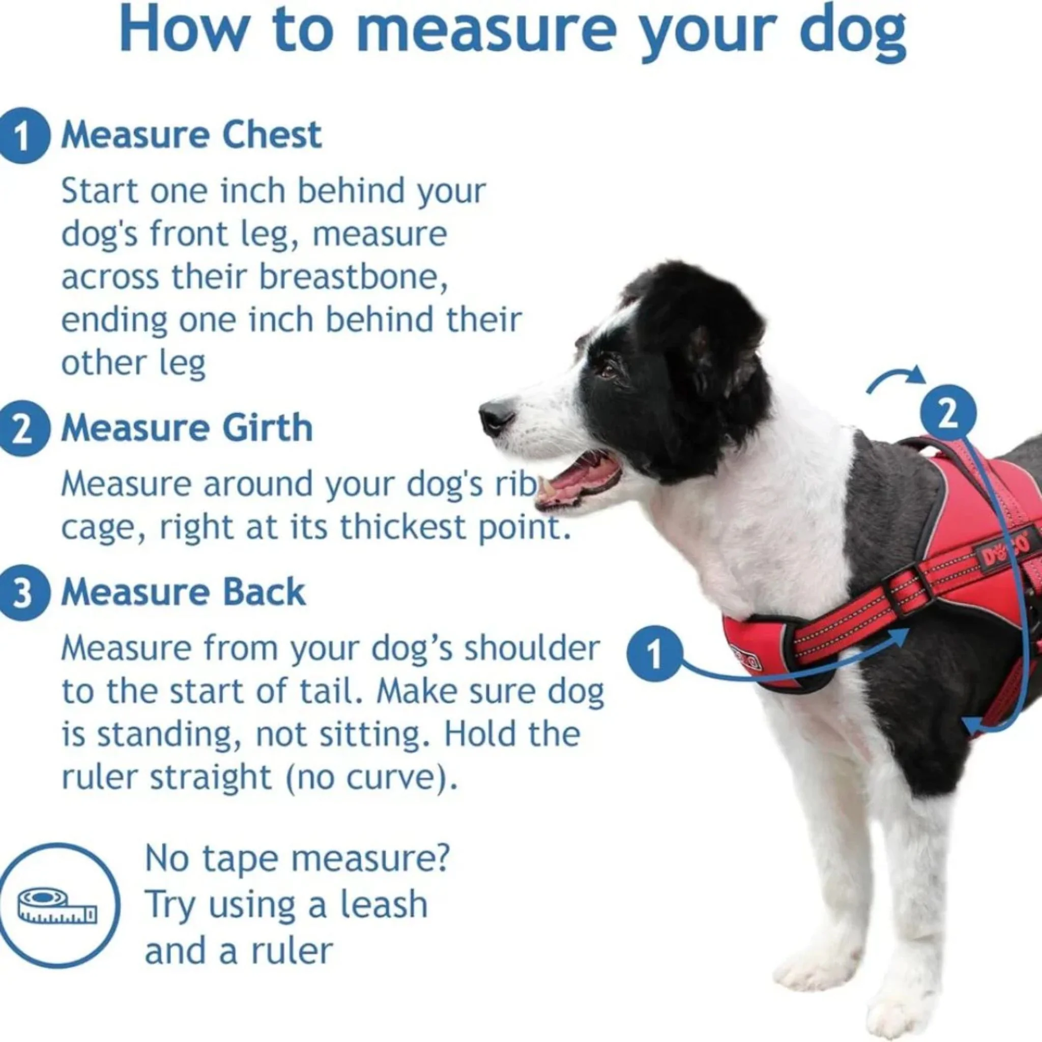 Doco Vertex Power For Dog Harness Small - Image 4