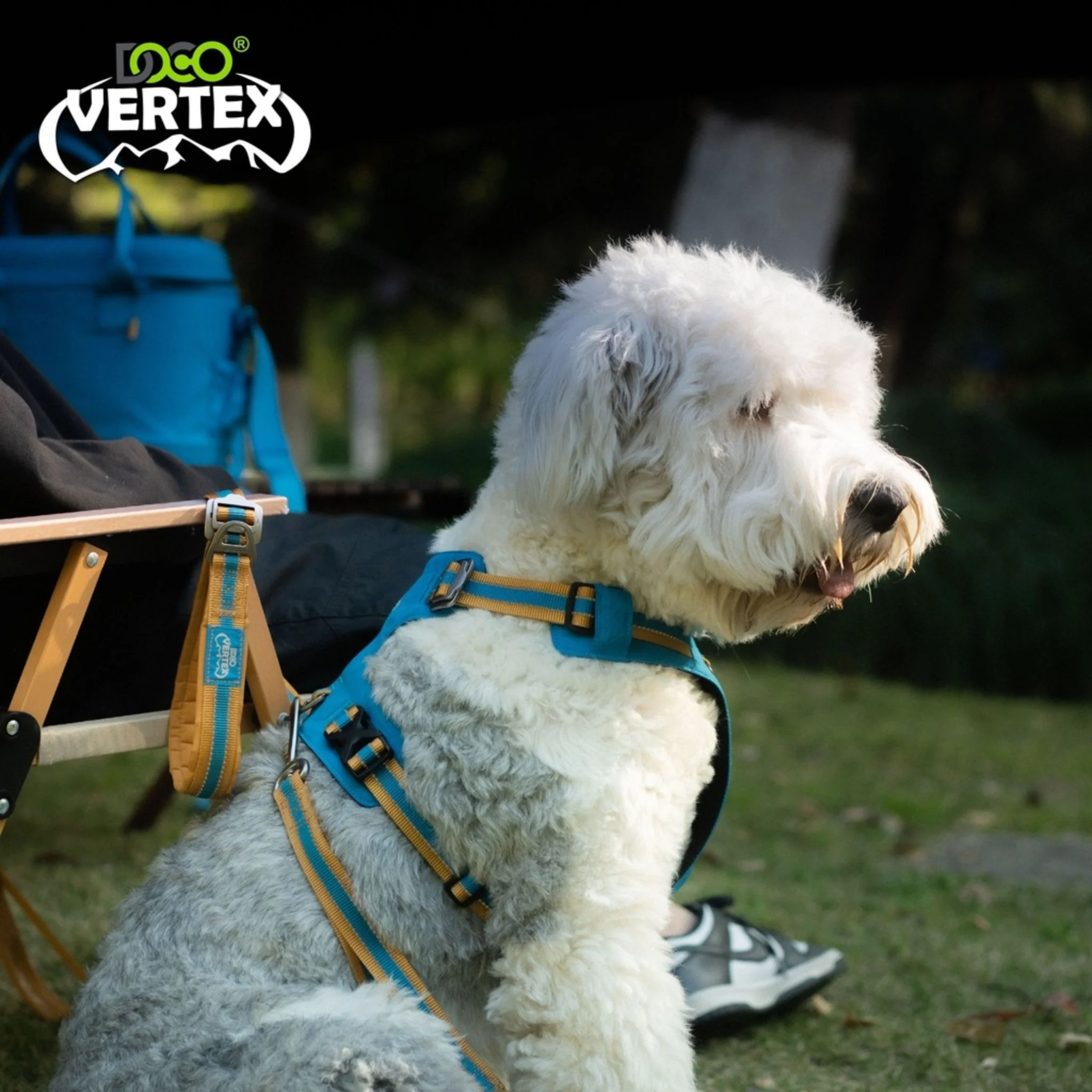 Doco Vertex Reflective Ultralight Mesh Dog Harness Coral Sea - S - Image 2