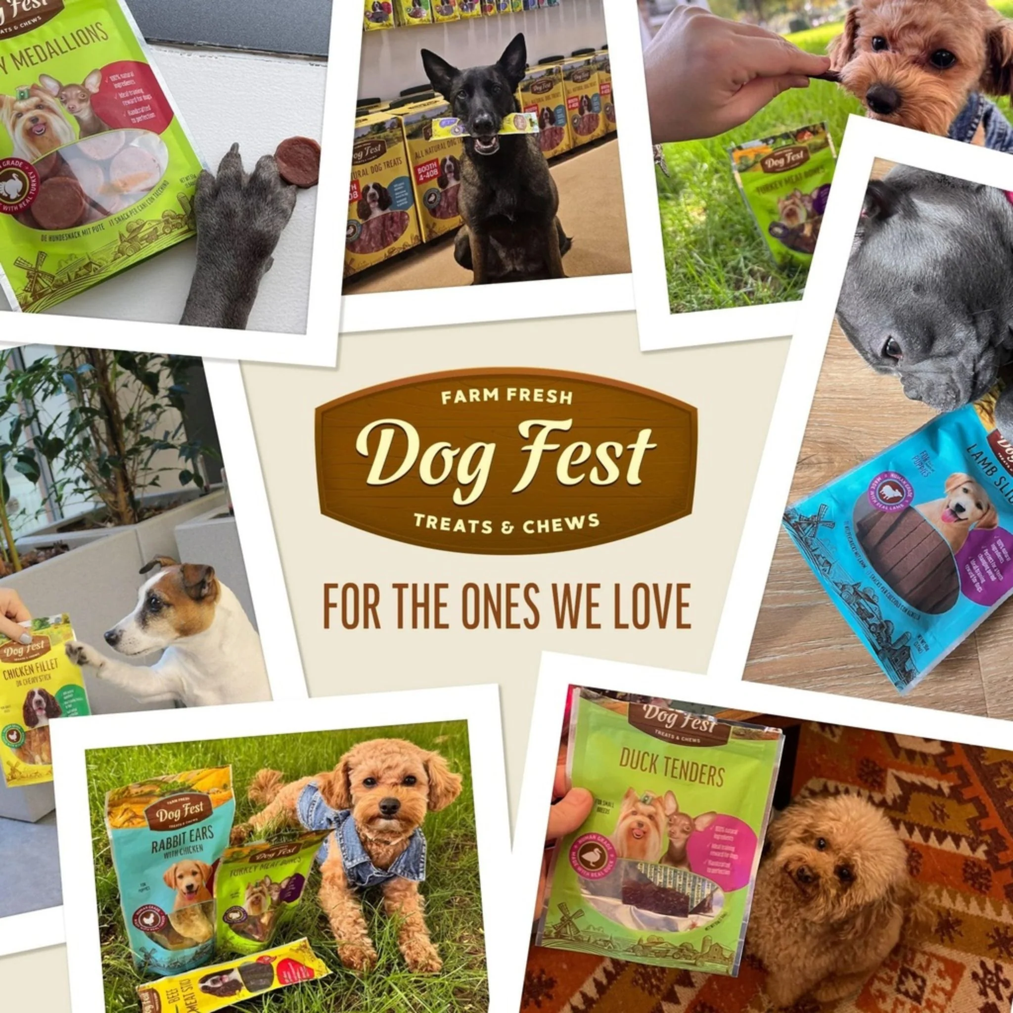 Dog Fest Turkey Medallions For Small Breeds – 55g - Image 7