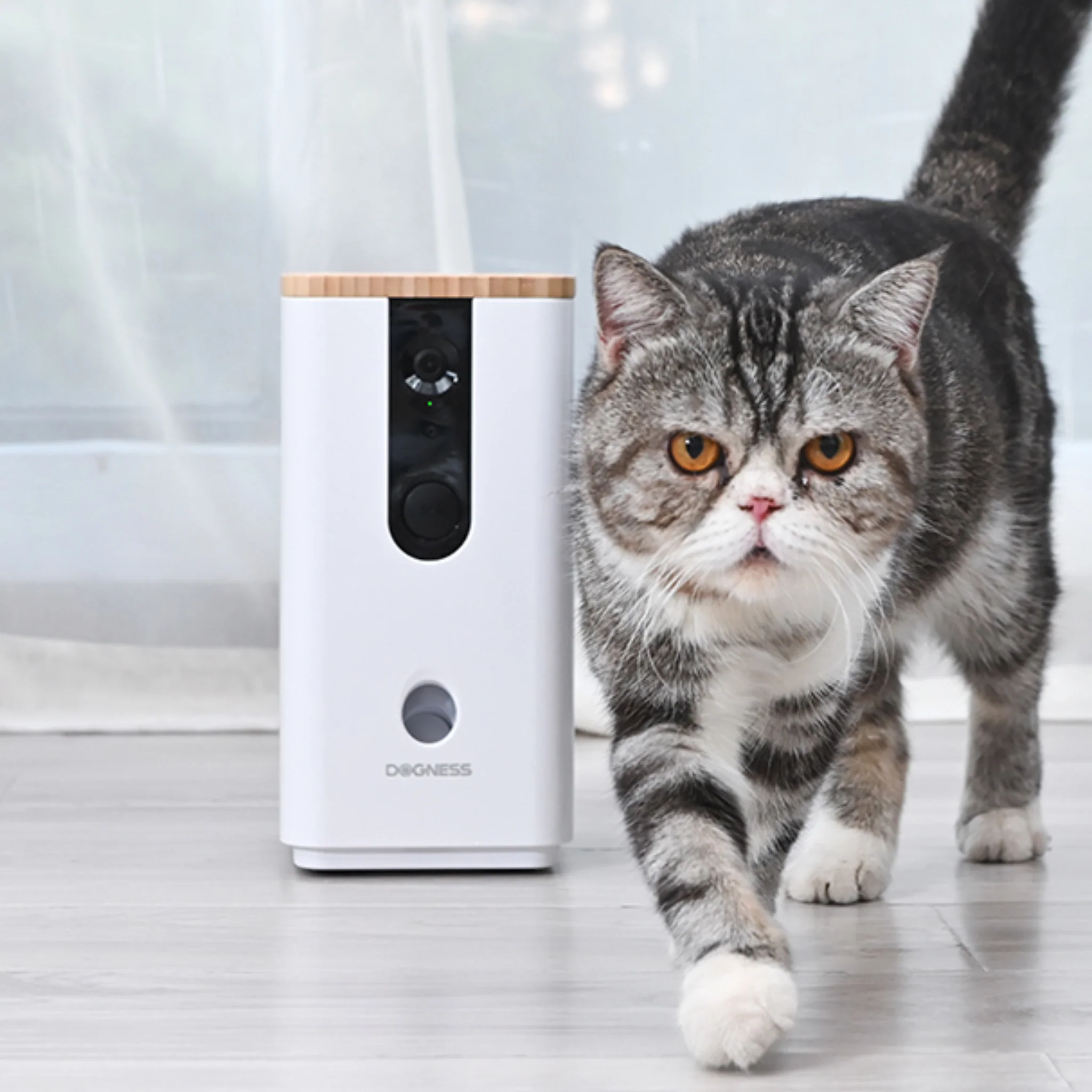 Dogness Smart Pet Treat Dispenser Camera App Control - 0.4L - Image 4