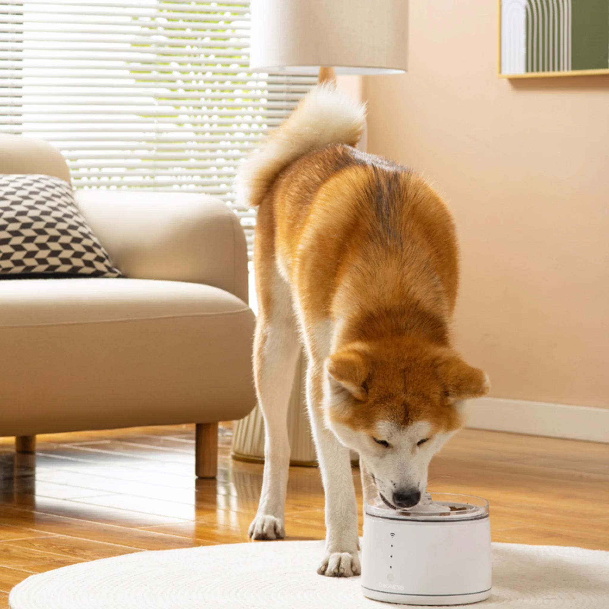 Dogness Smart Water Feeder For Pets App Controlled White - 1.8L - Image 8