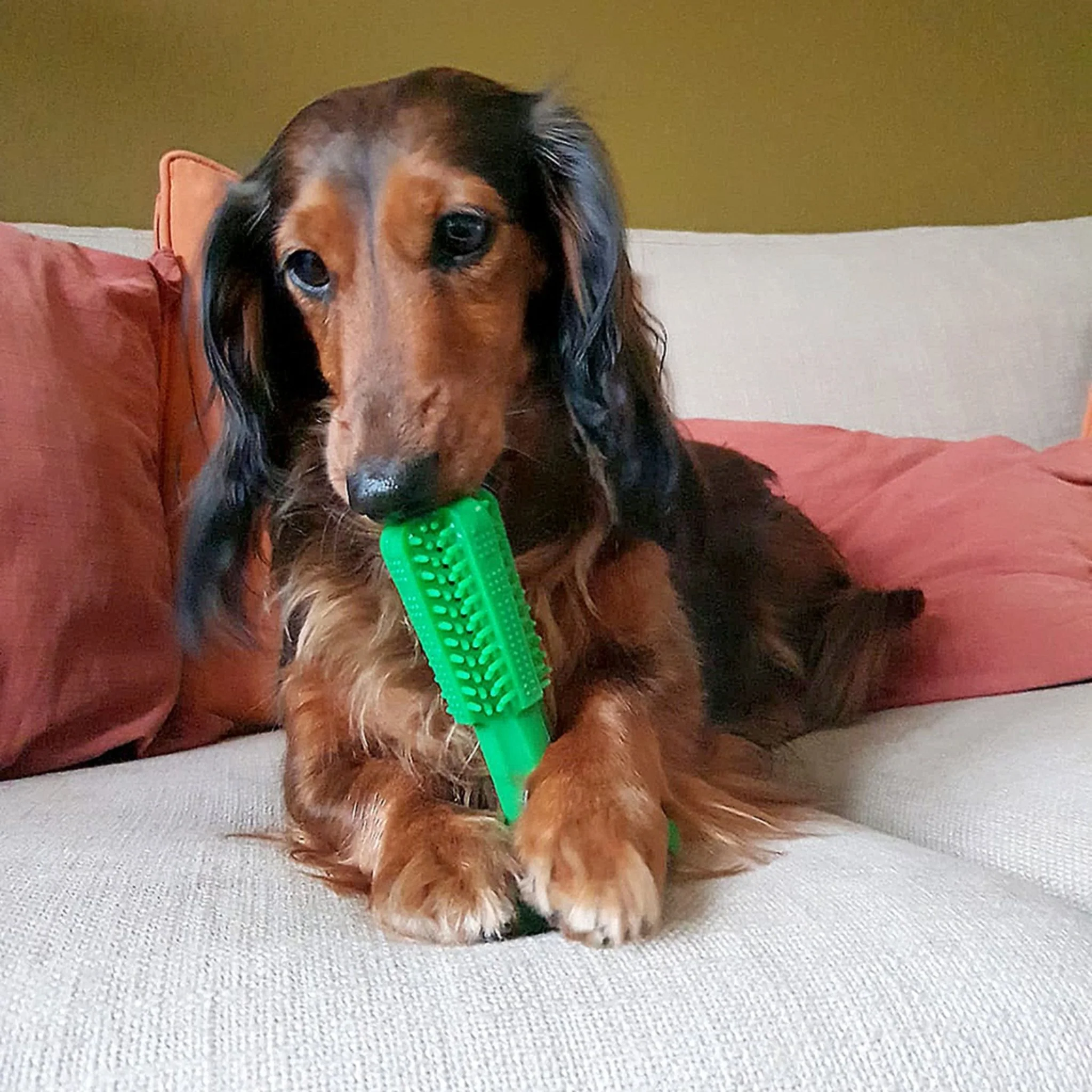 Duvo+ Chew n Play Brush Dog Toy Green - M - Image 2