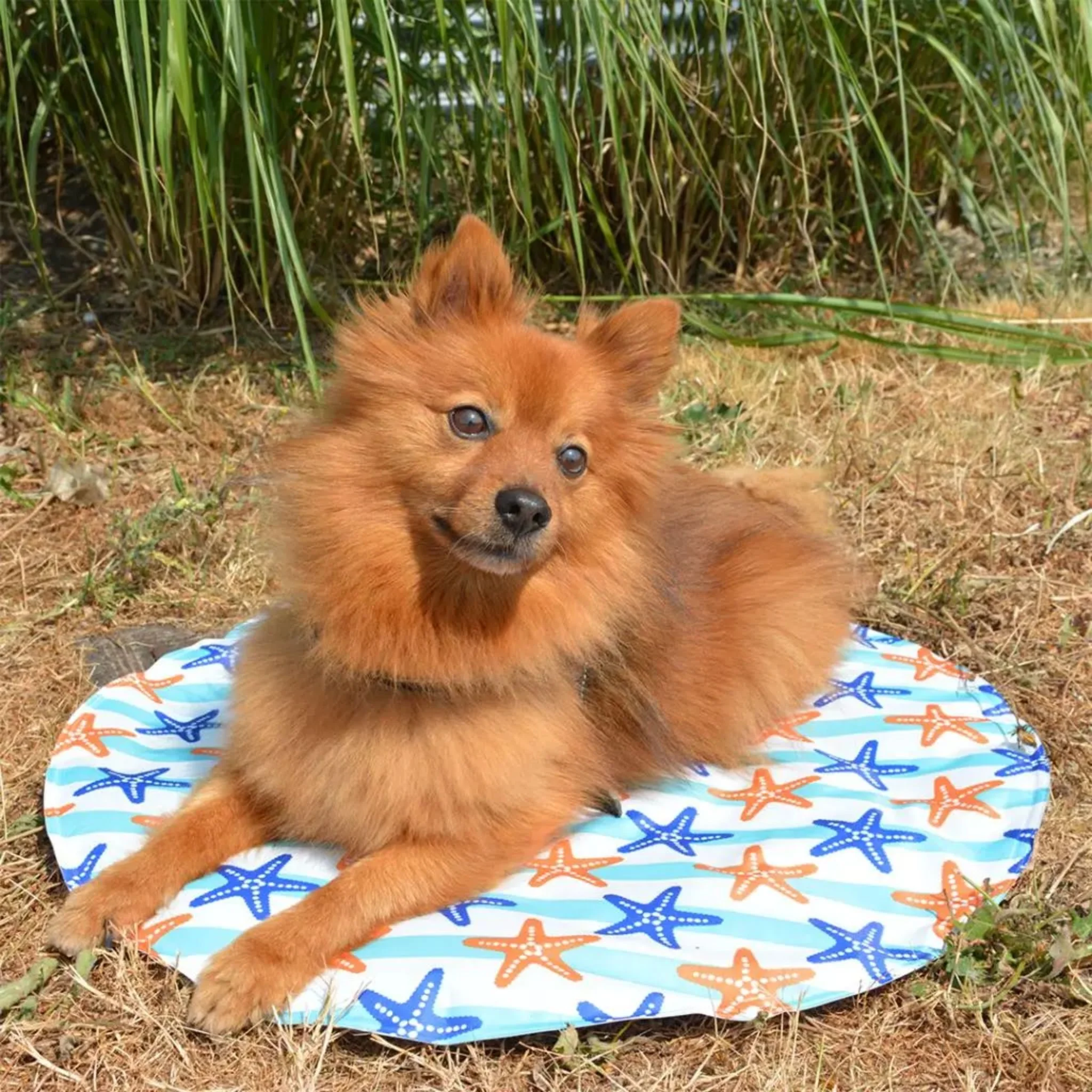 Duvo+ Cooling Mat Round Mixed Color For Dog - Image 3