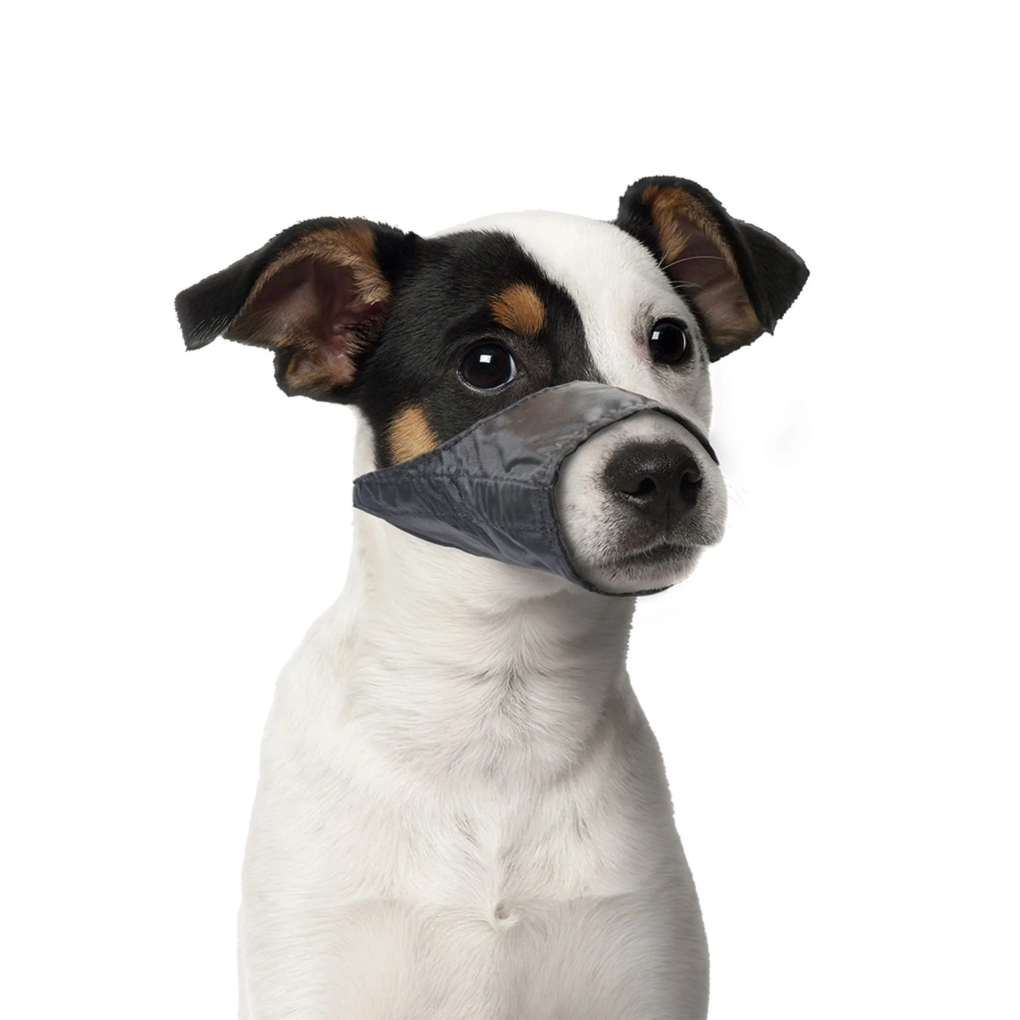 Duvo+ Dog Muzzle Nylon With Adjustable Strap - 43/64cm - Image 3