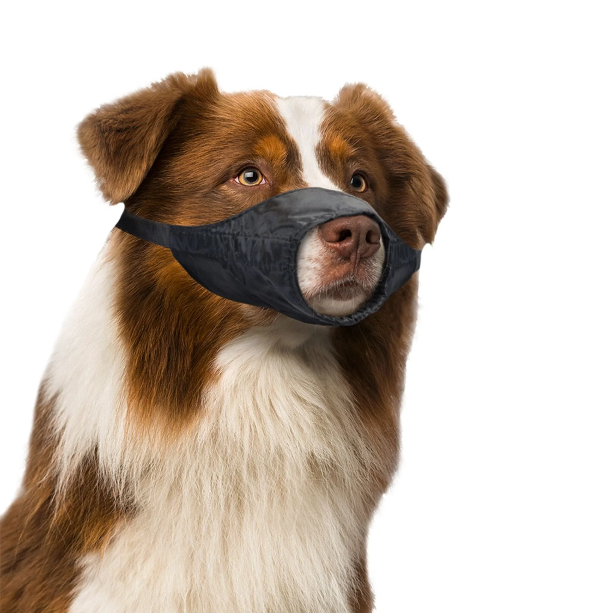 Duvo+ Dog Muzzle Nylon With Adjustable Strap - 53/77cm - Image 3