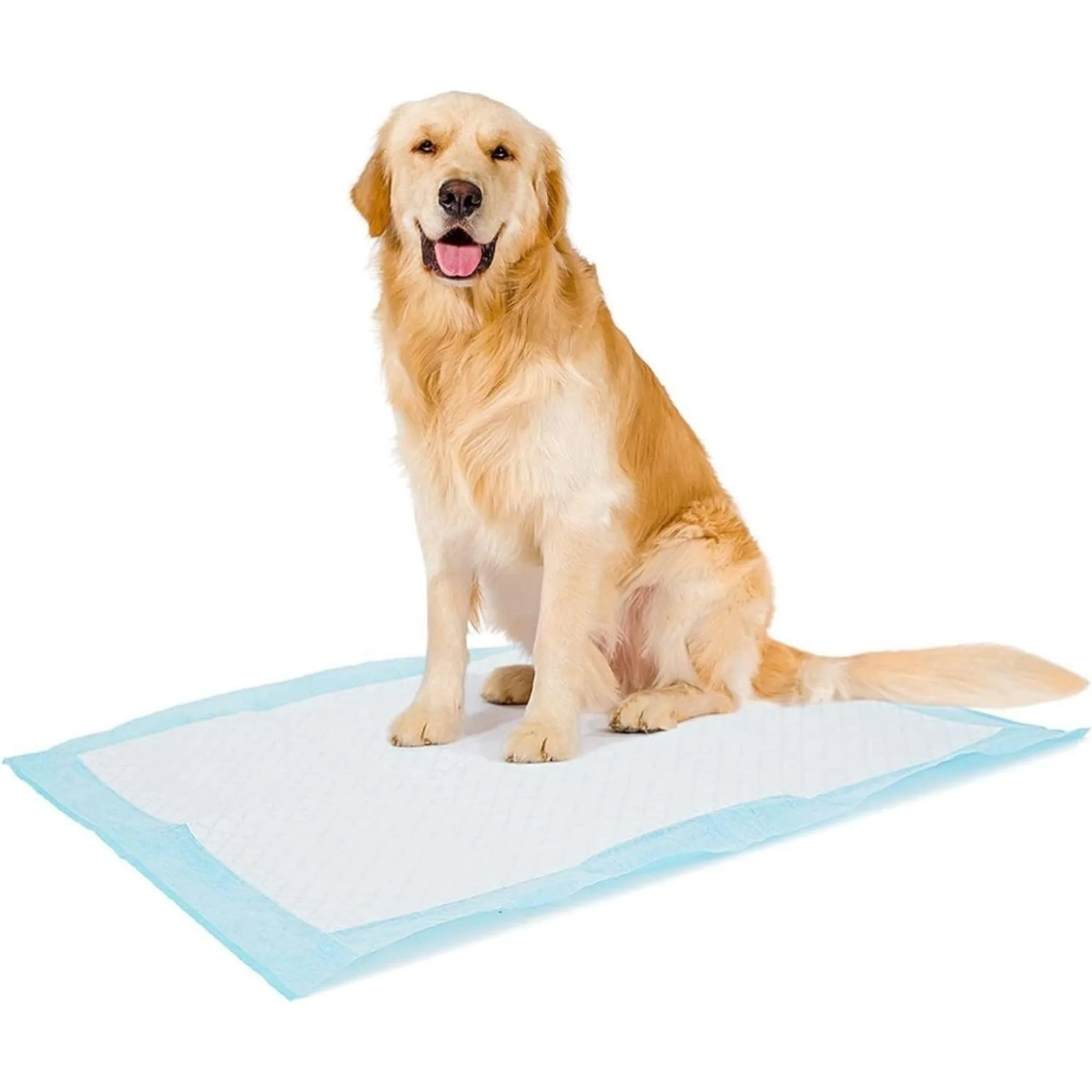 Duvo+ Pet Pad Standard Month Pack XL - 60x60cm/30pcs - Image 2