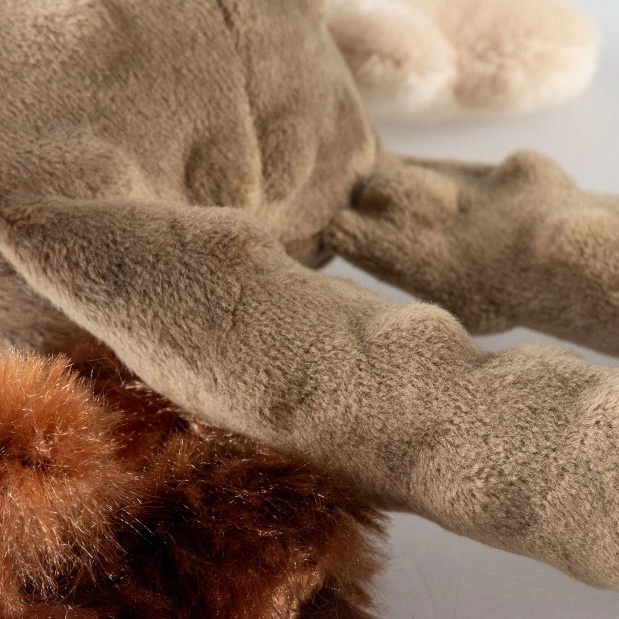 Duvo+ Plush Bear Crackle Dog Toy – 34x21x8cm Brown - Image 3