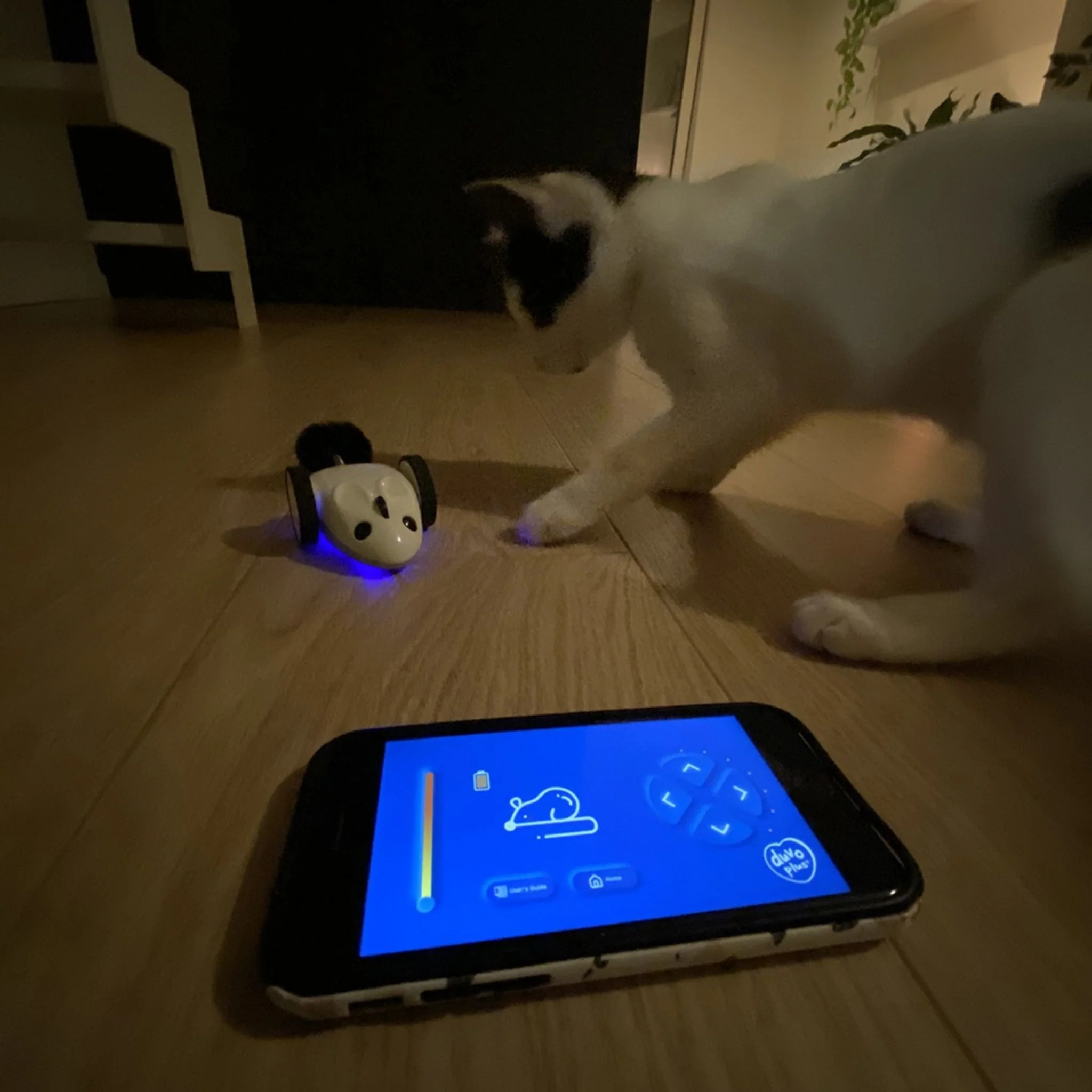 Duvo+ Race N Chase App-Controlled Mouse Cat Toy - Image 3
