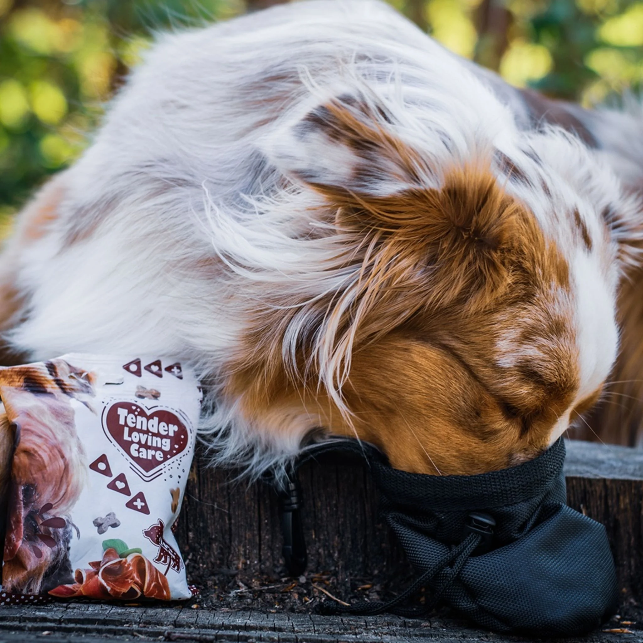 Duvo+ Soft Salmon Snack For Dog – 100g - Image 2