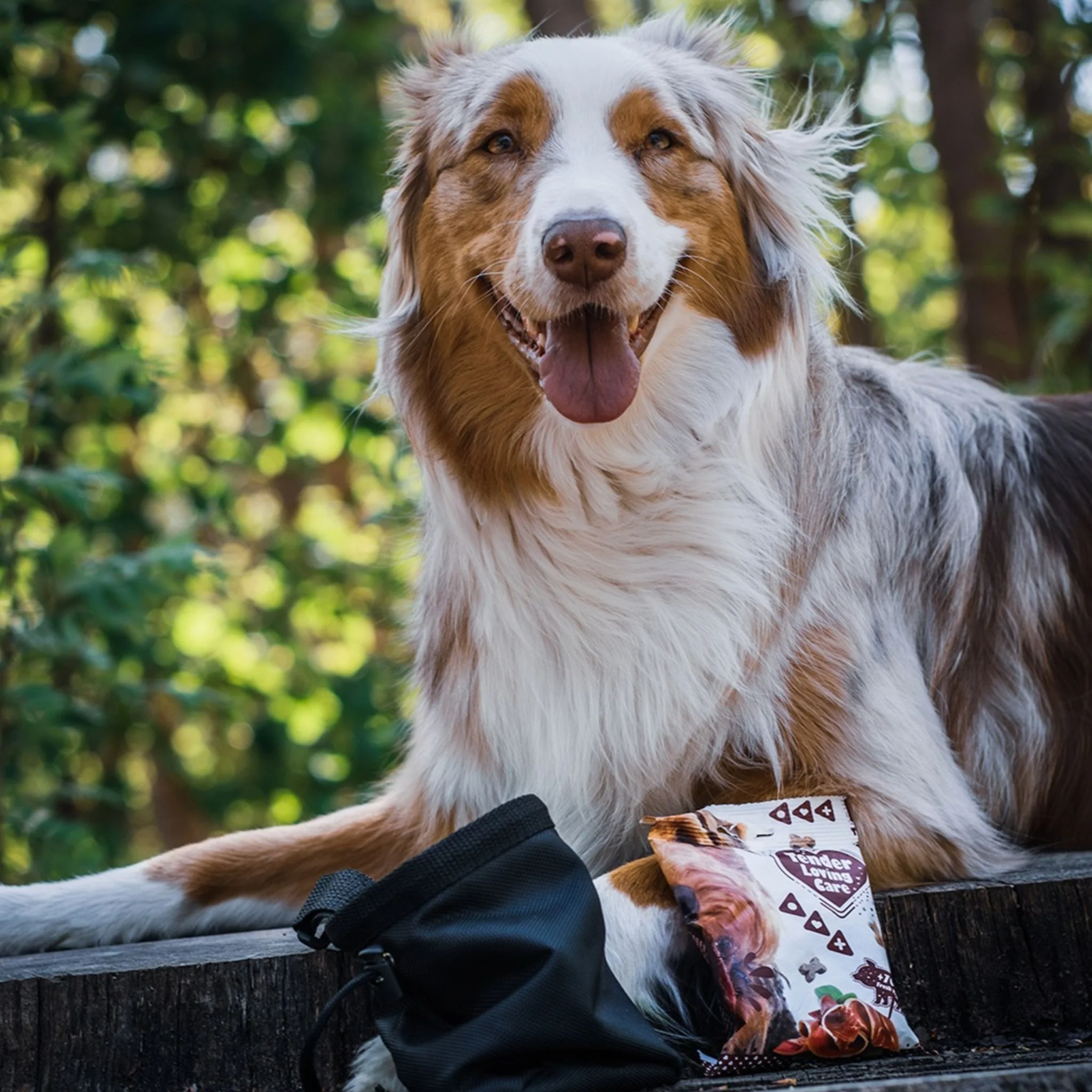 Duvo+ Soft Salmon Snack For Dog – 100g - Image 3