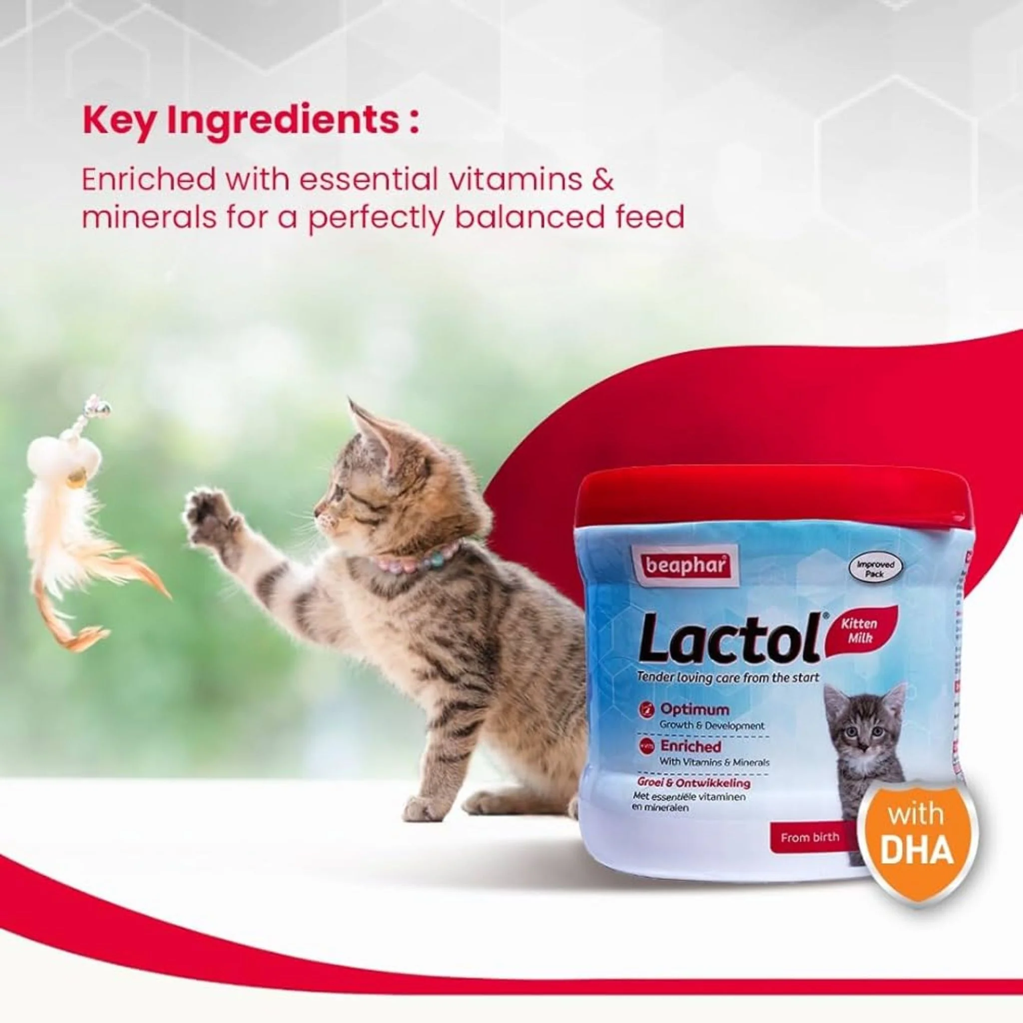 Beaphar Lactol Kitten Milk Replacer Digestive Support Formula – 250g - Image 2