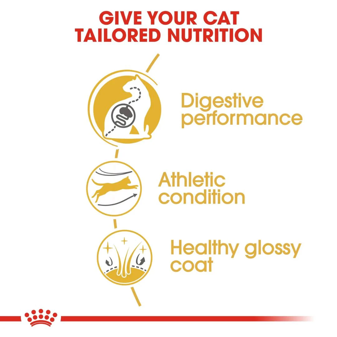 Royal Canin Feline Breed Nutrition Bengal Adult Cat Dry Food - 2kg - Image 7