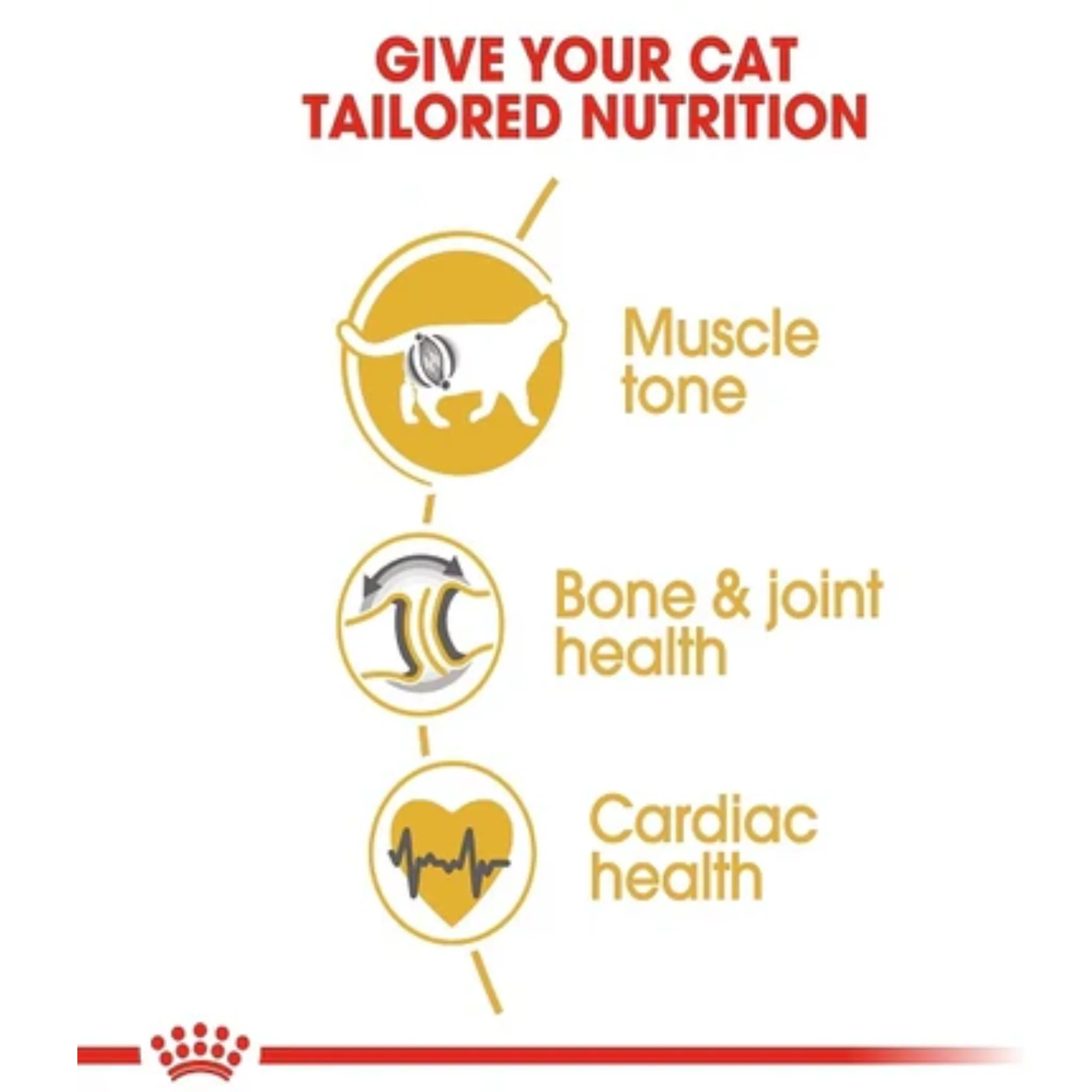 Royal Canin Feline Breed Nutrition British Shorthair Adult Cat Dry Food - 4kg - Image 6