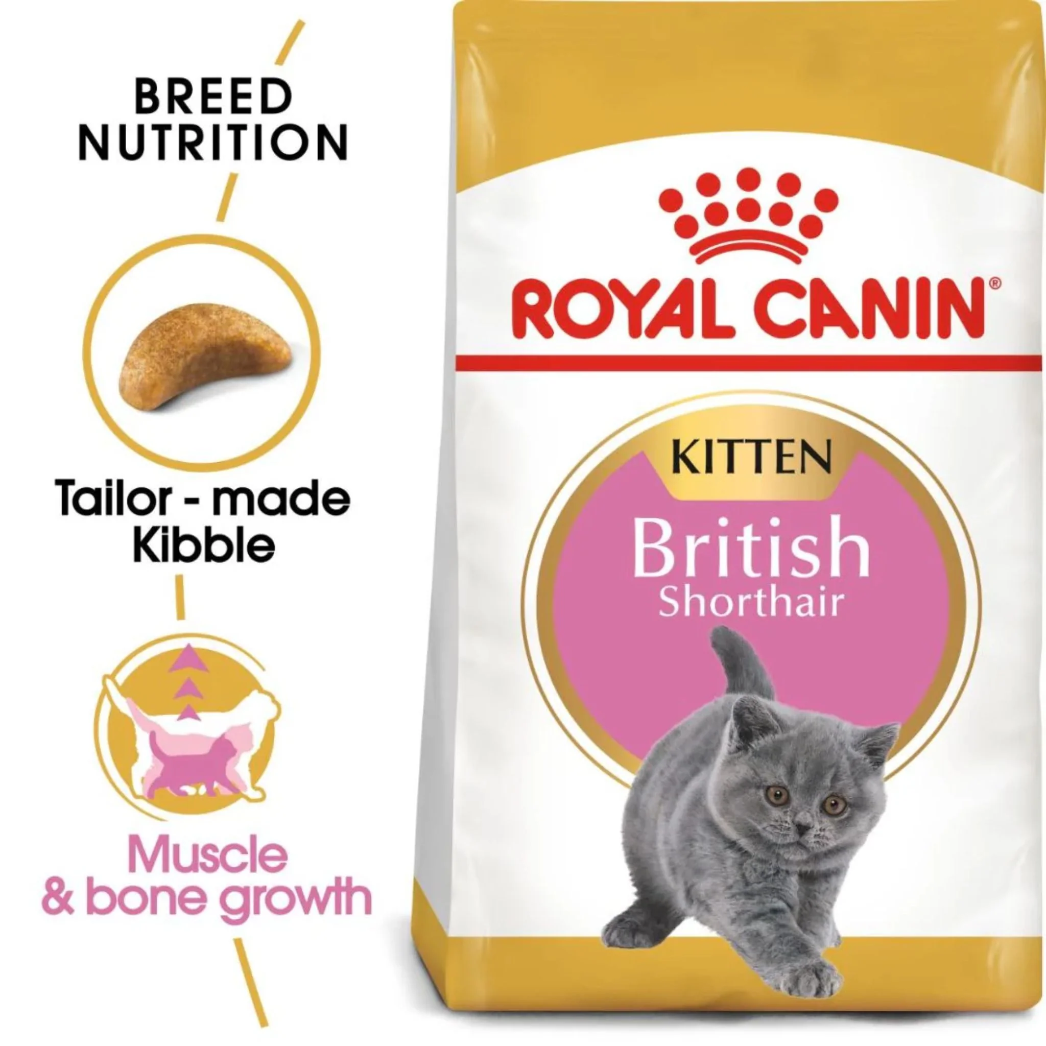 Royal Canin Feline Breed Nutrition British Shorthair Kitten Dry Food - 2kg - Image 2