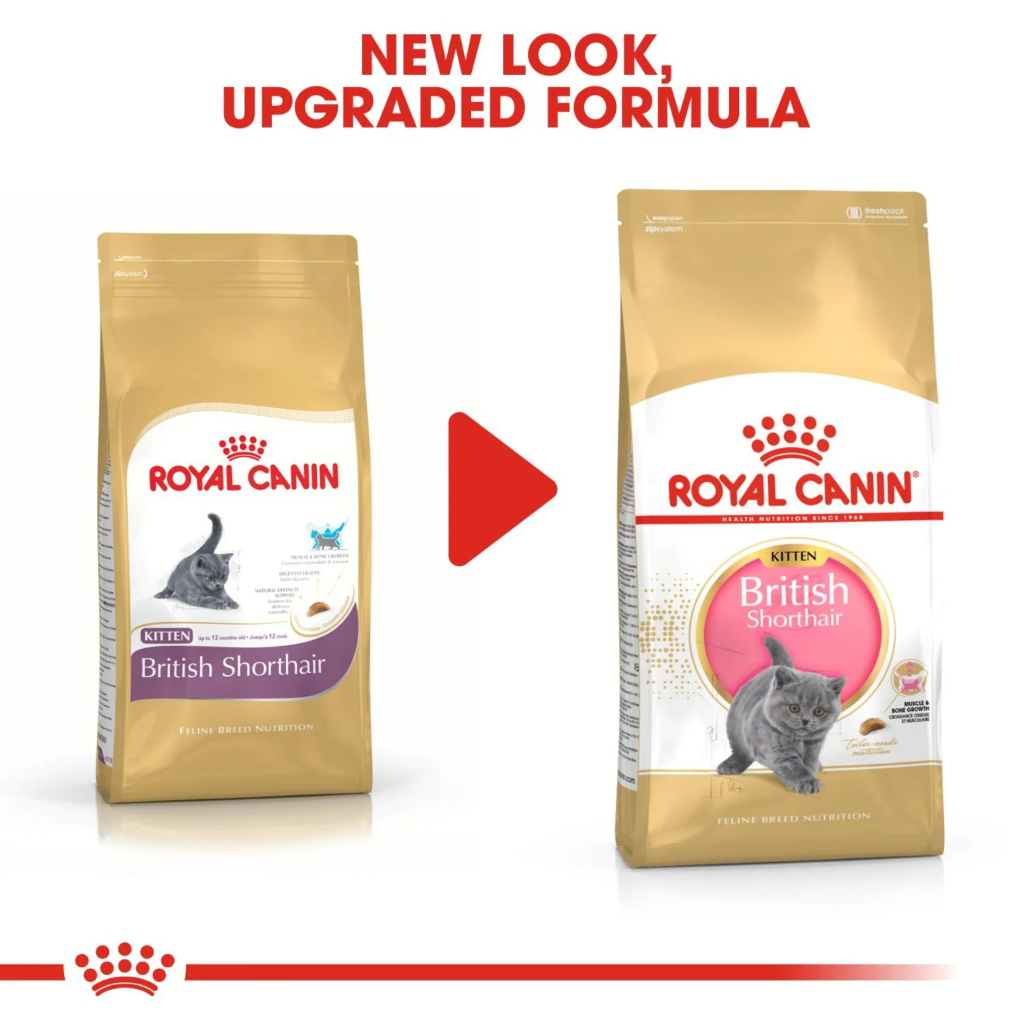 Royal Canin Feline Breed Nutrition British Shorthair Kitten Dry Food - 2kg - Image 3