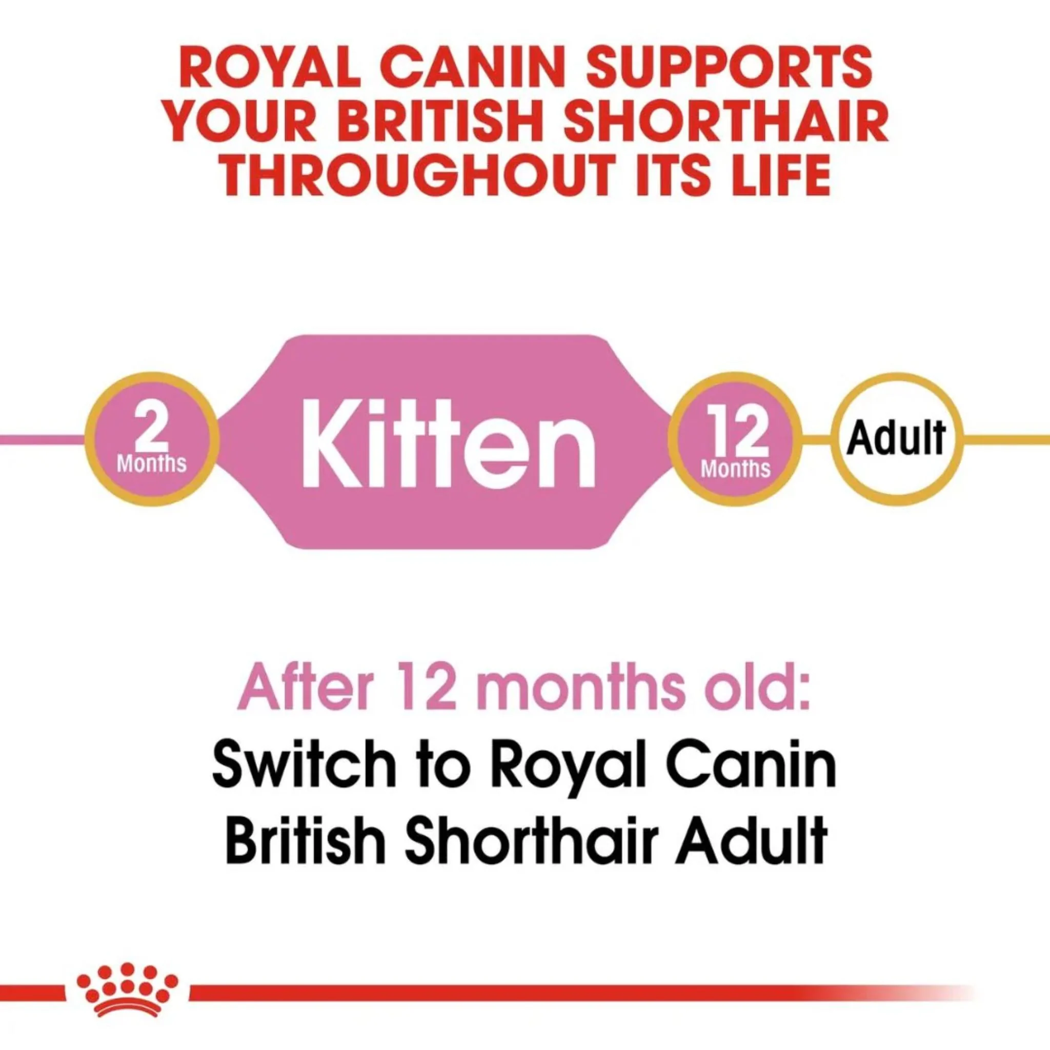 Royal Canin Feline Breed Nutrition British Shorthair Kitten Dry Food - 2kg - Image 4