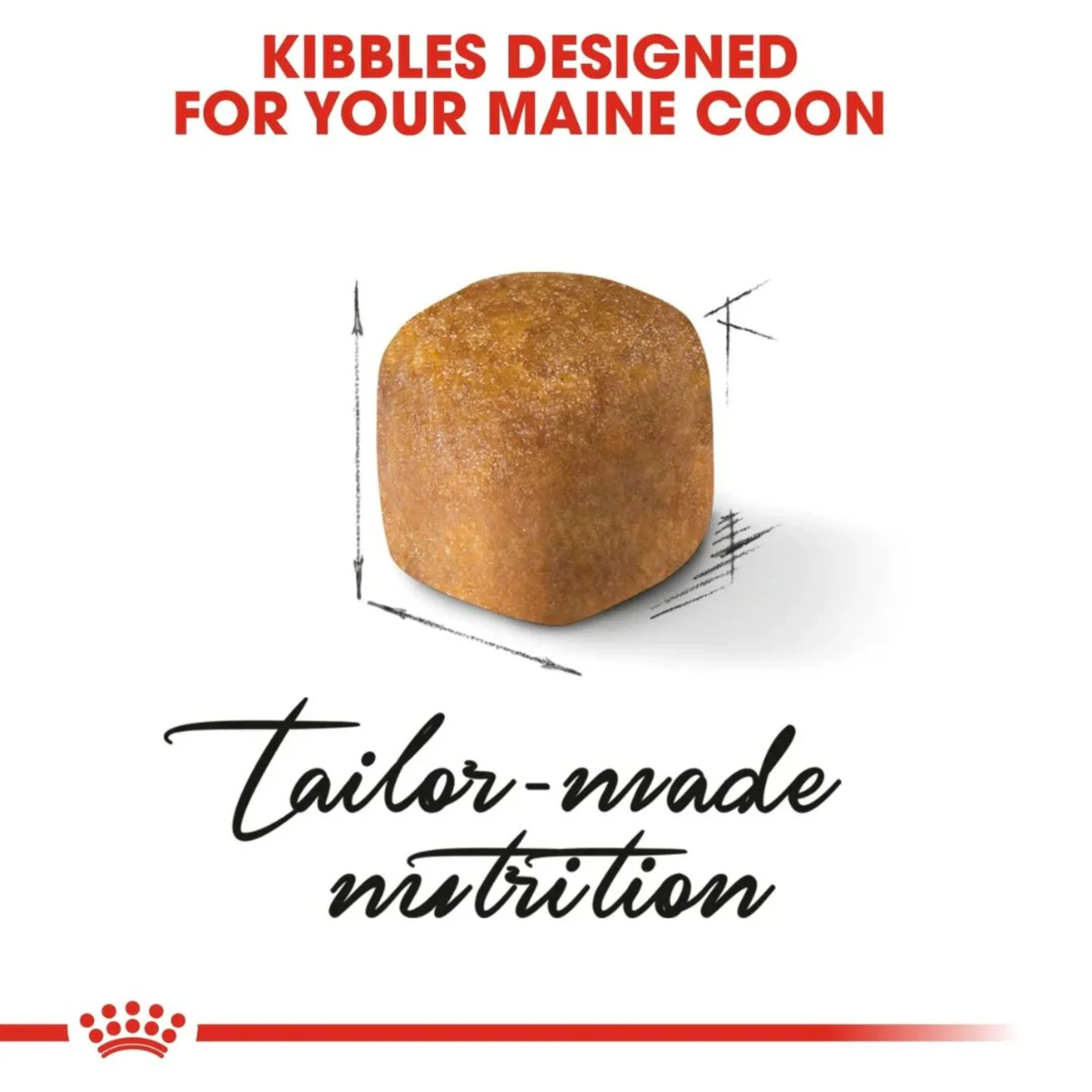 Royal Canin Feline Breed Nutrition Maine Coon Kitten Dry Food - 2kg - Image 3