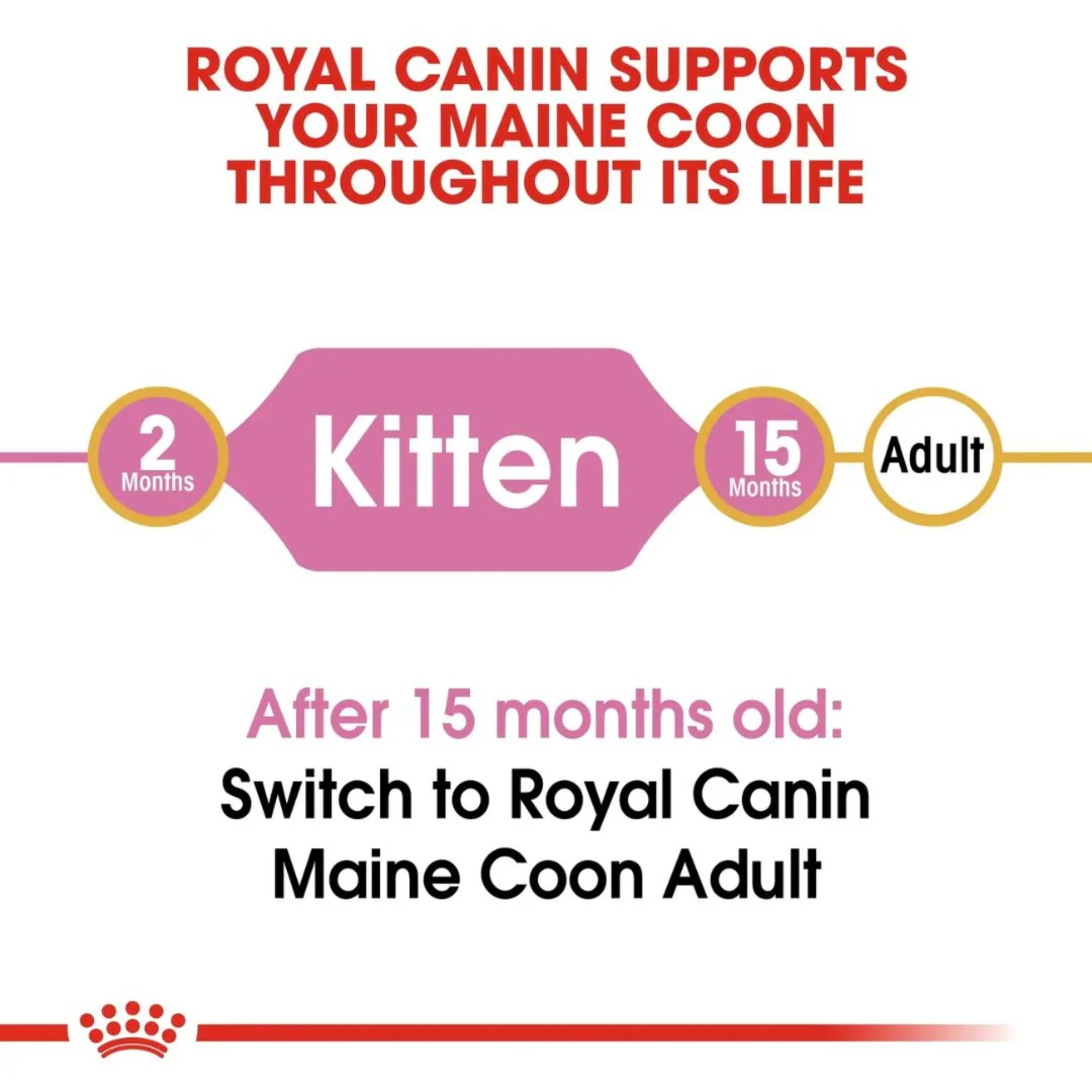 Royal Canin Feline Breed Nutrition Maine Coon Kitten Dry Food - 2kg - Image 4