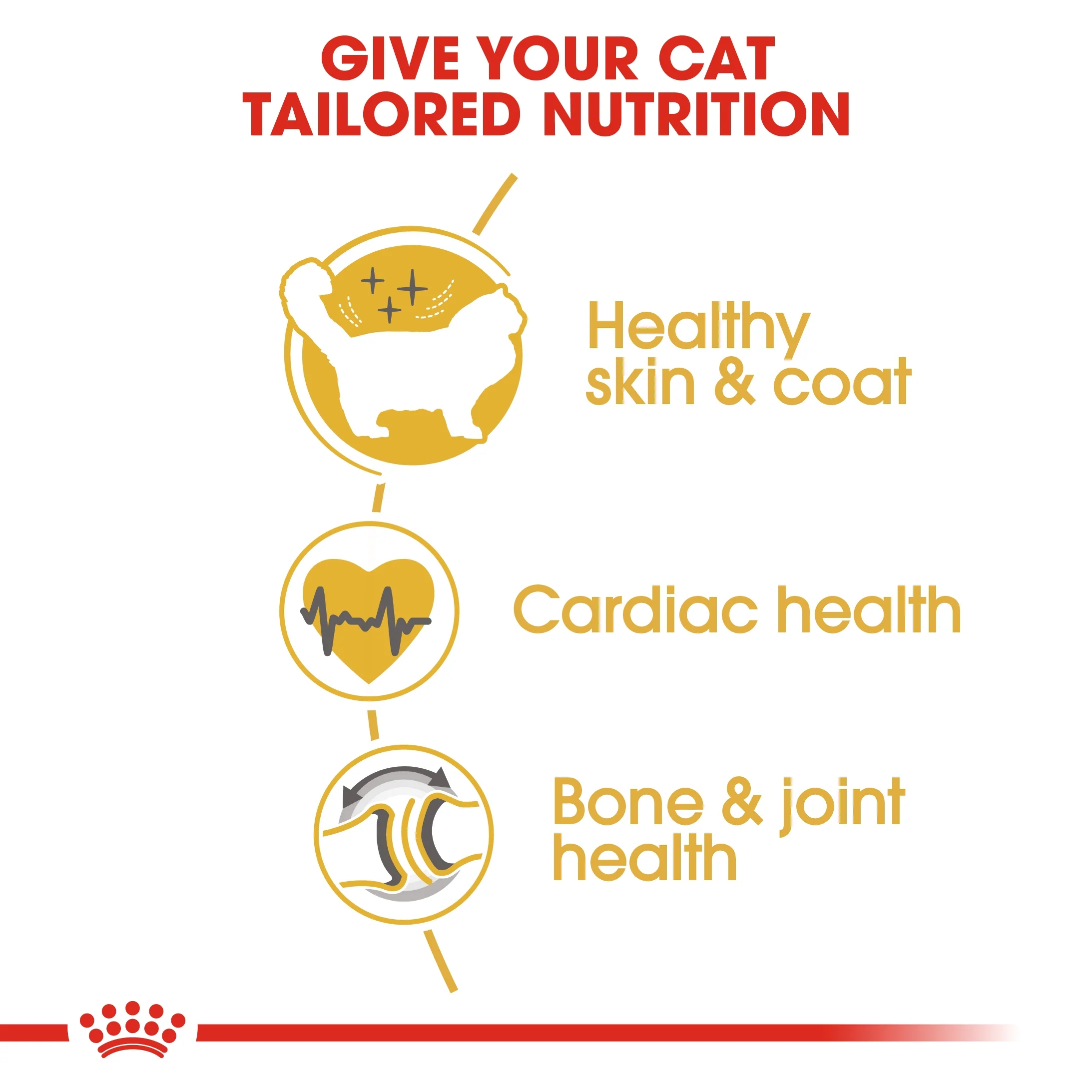 Royal Canin Feline Breed Nutrition Ragdoll Adult Cat Dry Food - 2kg - Image 7