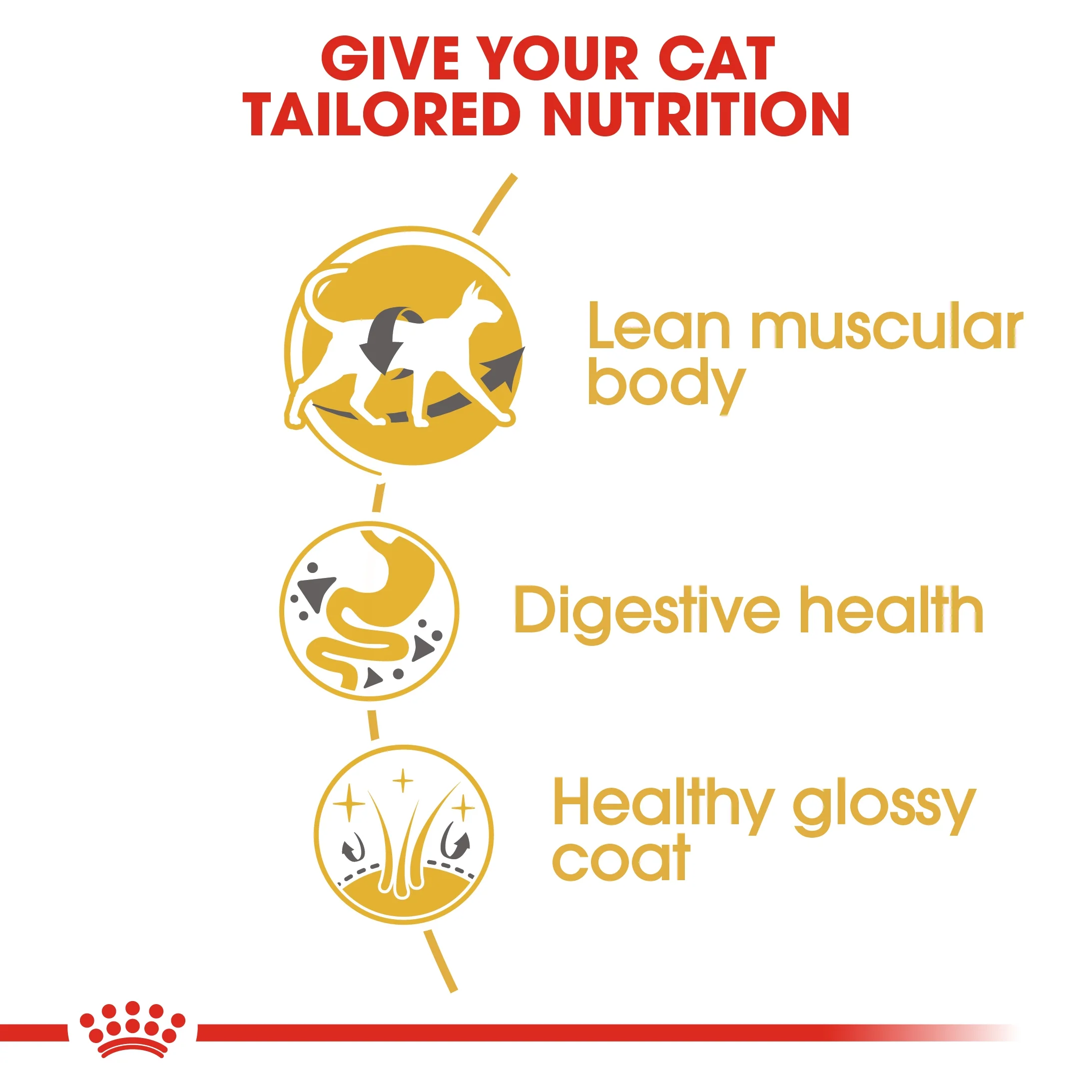 Royal Canin Feline Breed Nutrition Siamese Adult Cat Dry Food - 2kg - Image 6