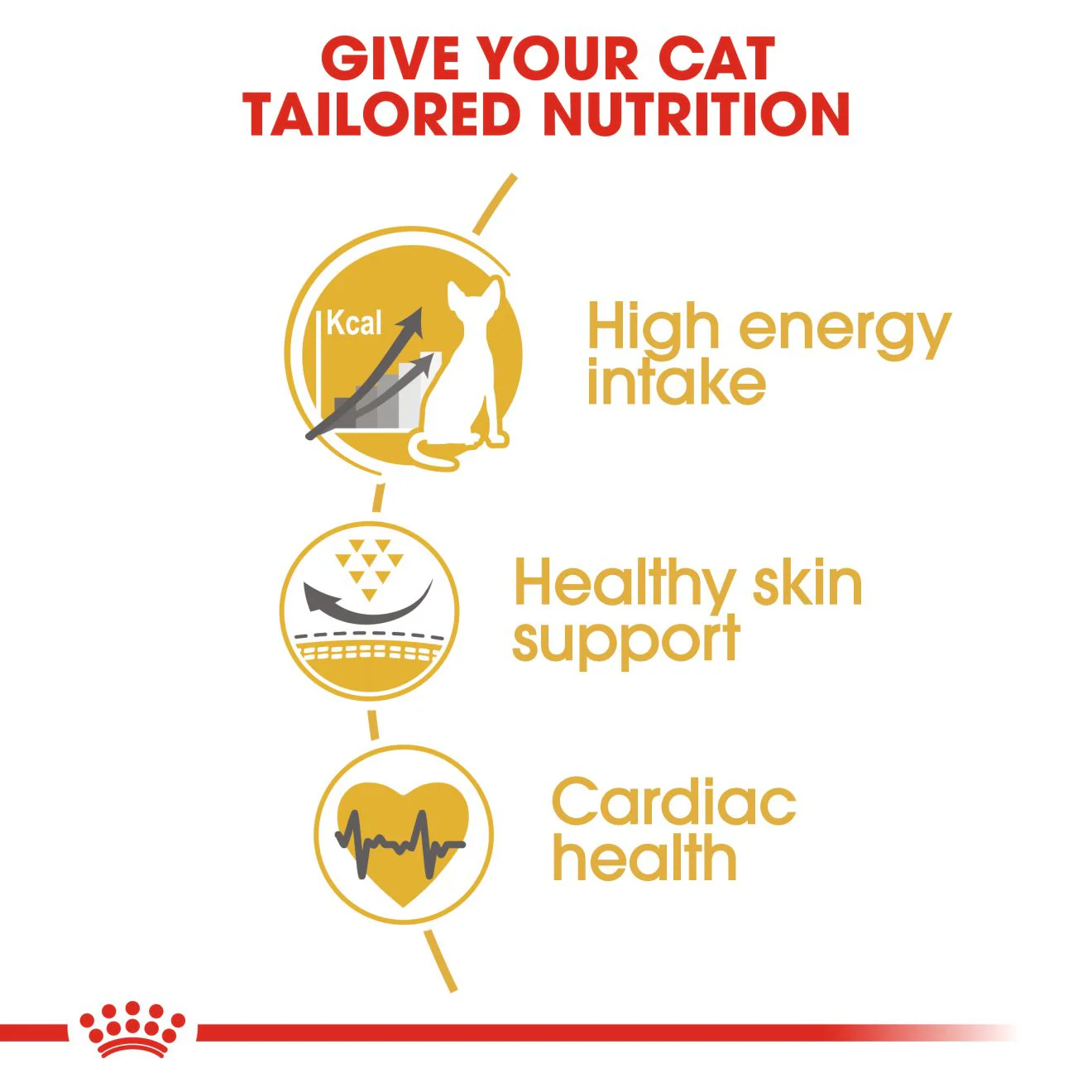 Royal Canin Feline Breed Nutrition Sphynx Adult Cat Dry Food - 2kg - Image 4