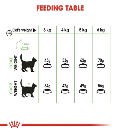 Royal Canin Feline Nutrition Digestive Care Cat Dry Food - Image 4