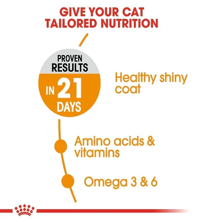 Royal Canin Feline Care Nutrition Hair & Skin Cat Dry Food - Image 3