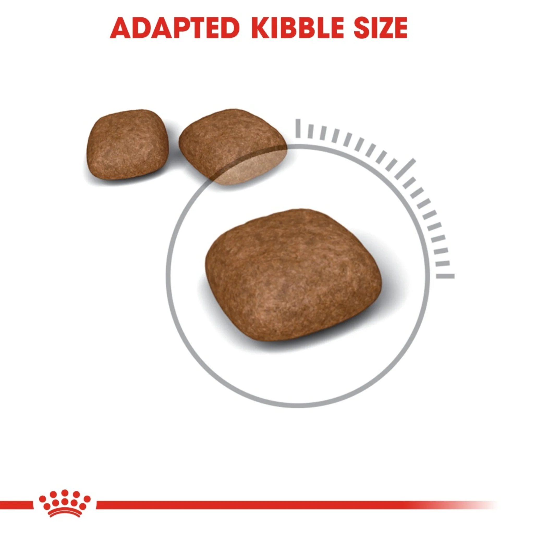 Royal Canin Feline Care Nutrition Urinary Care Cat Dry Food - Image 3