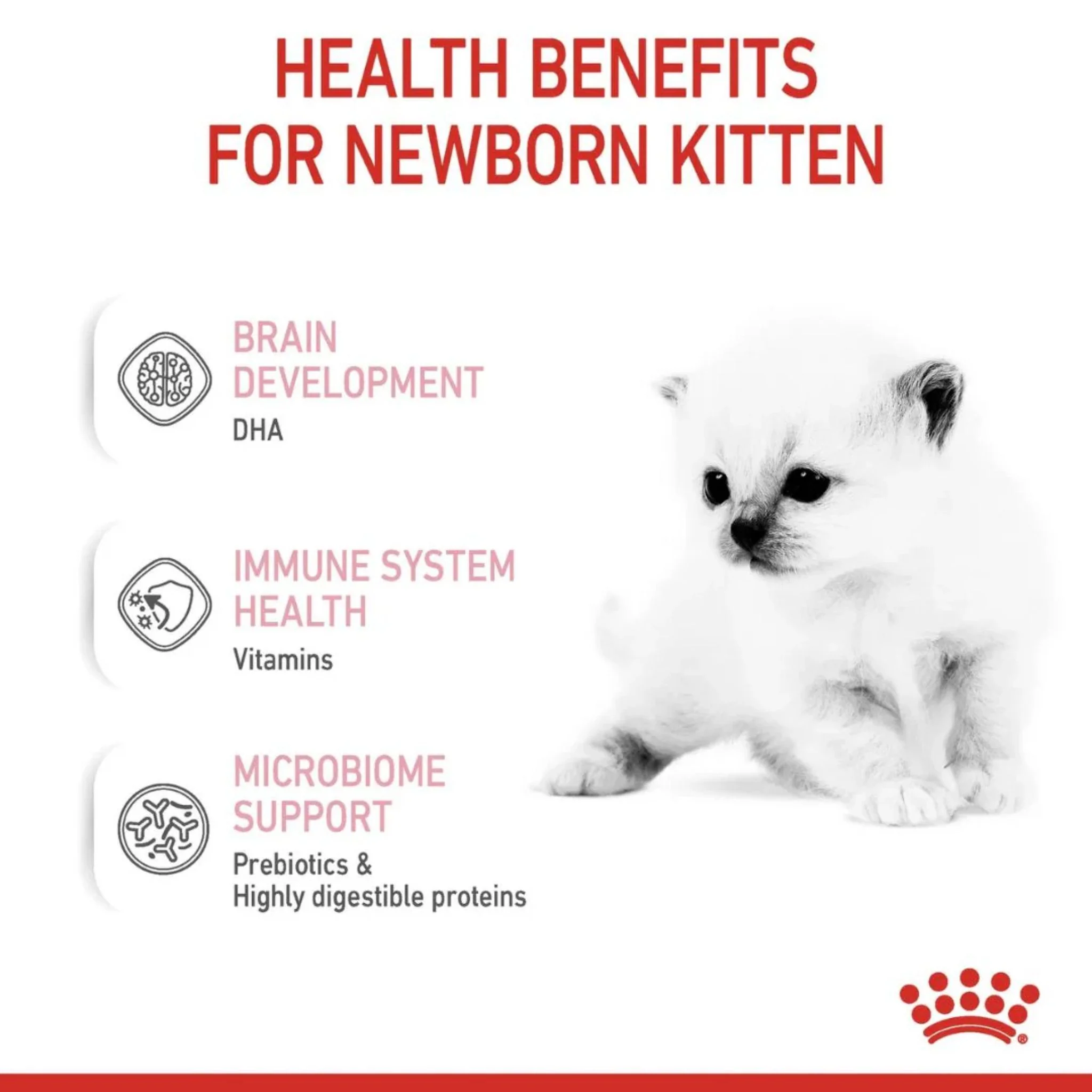 Royal Canin Feline Health Babycat Milk Powder - 300g - Image 3