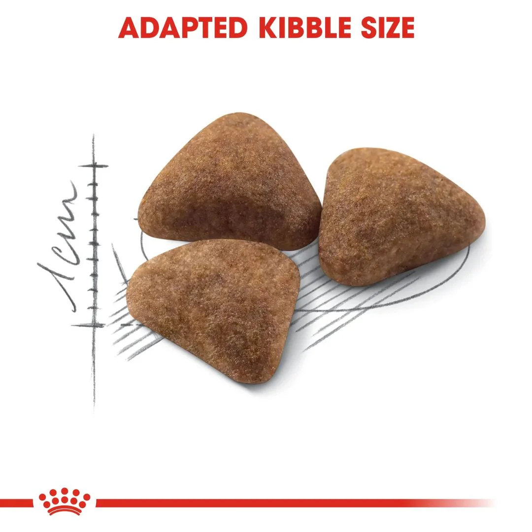 Royal Canin Feline Health Indoor Cat Dry Food - Image 3