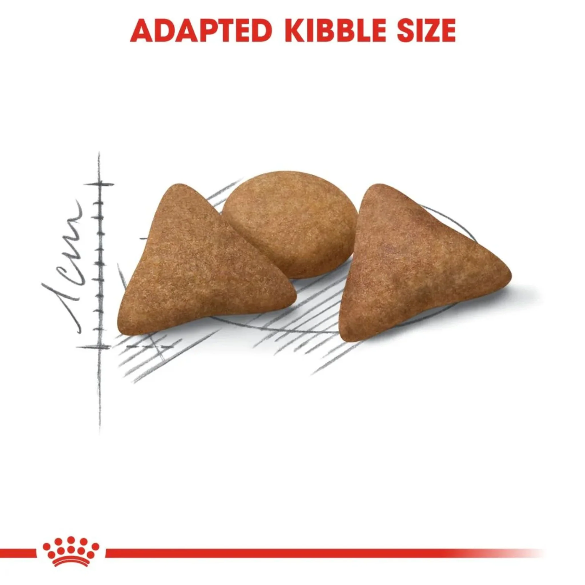 Royal Canin Feline Health Indoor Appetite Control Cat Dry Food - 2kg - Image 3
