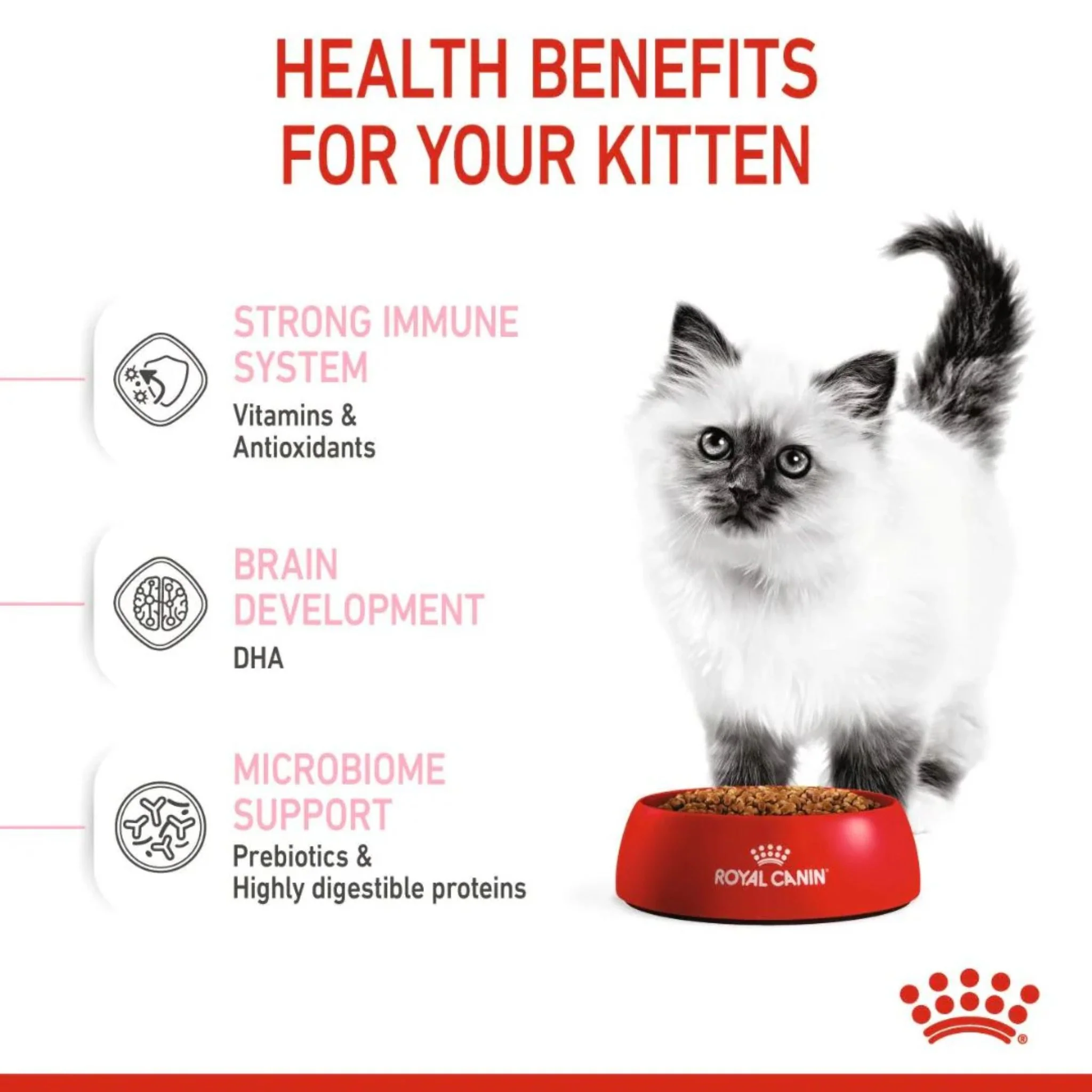 Royal Canin Feline Health Kitten Dry Food - Image 3