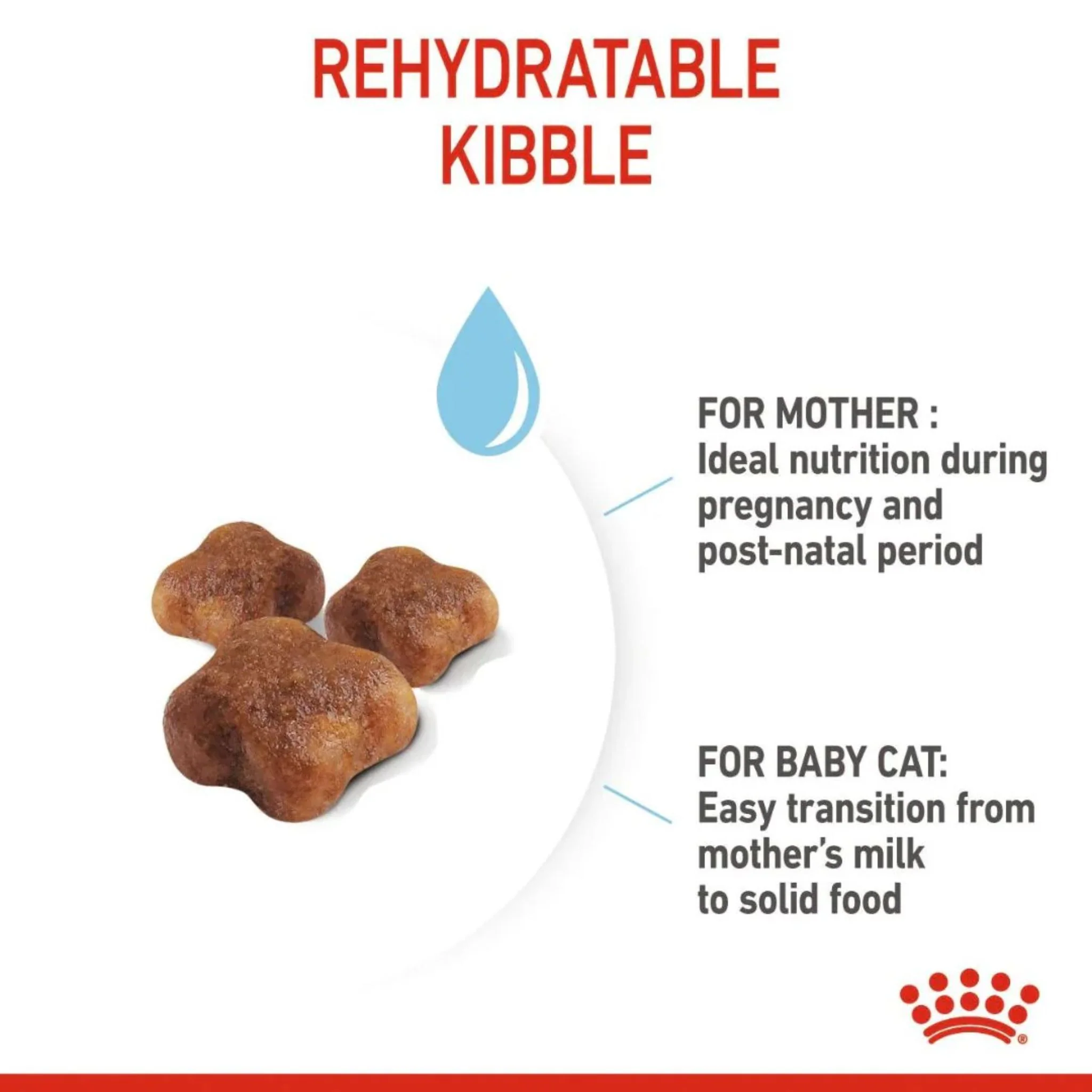 Royal Canin Feline Health Mother & Babycat Dry Food - Image 4