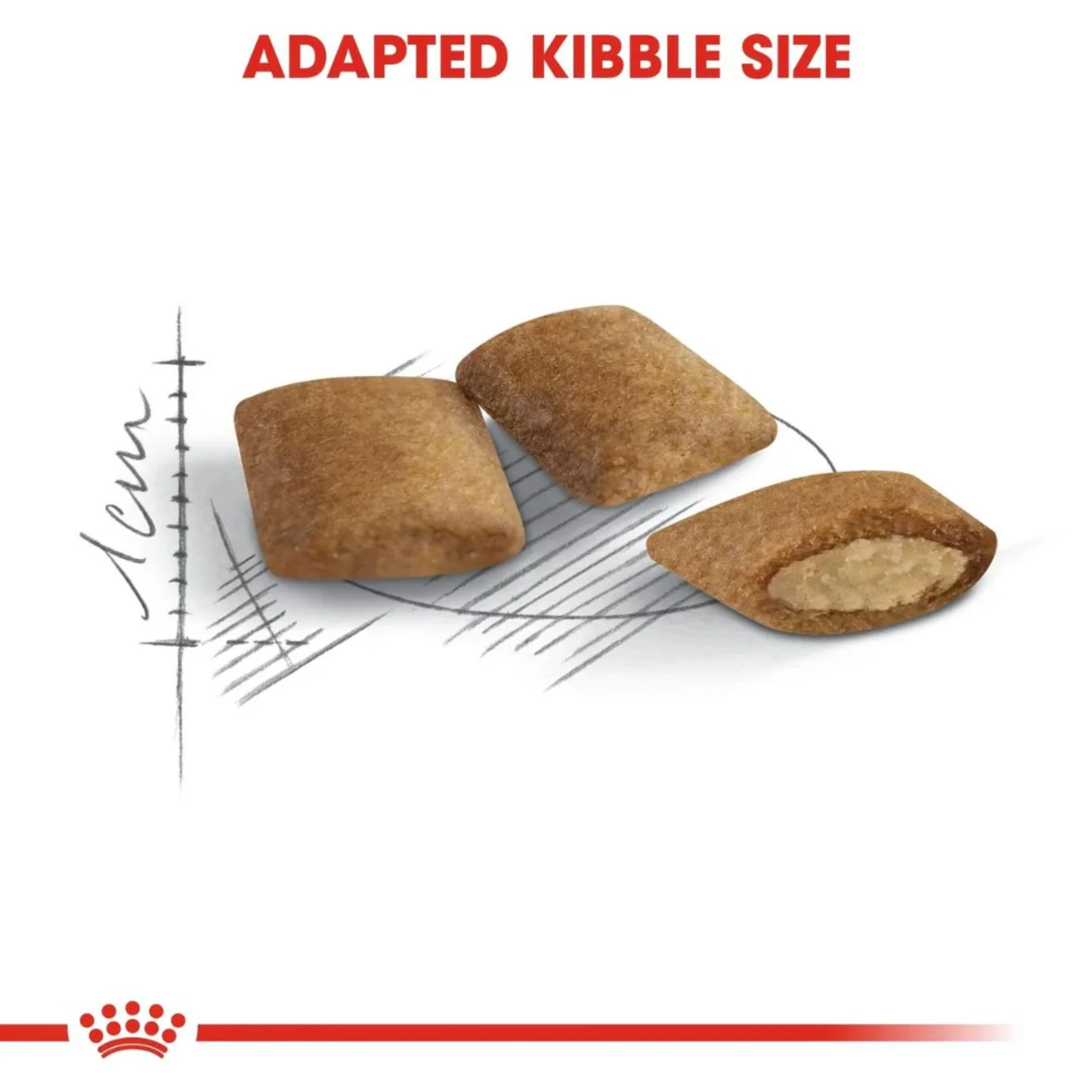 Royal Canin Feline Health Nutrition Ageing 12+ Cat Dry Food - 2kg - Image 3