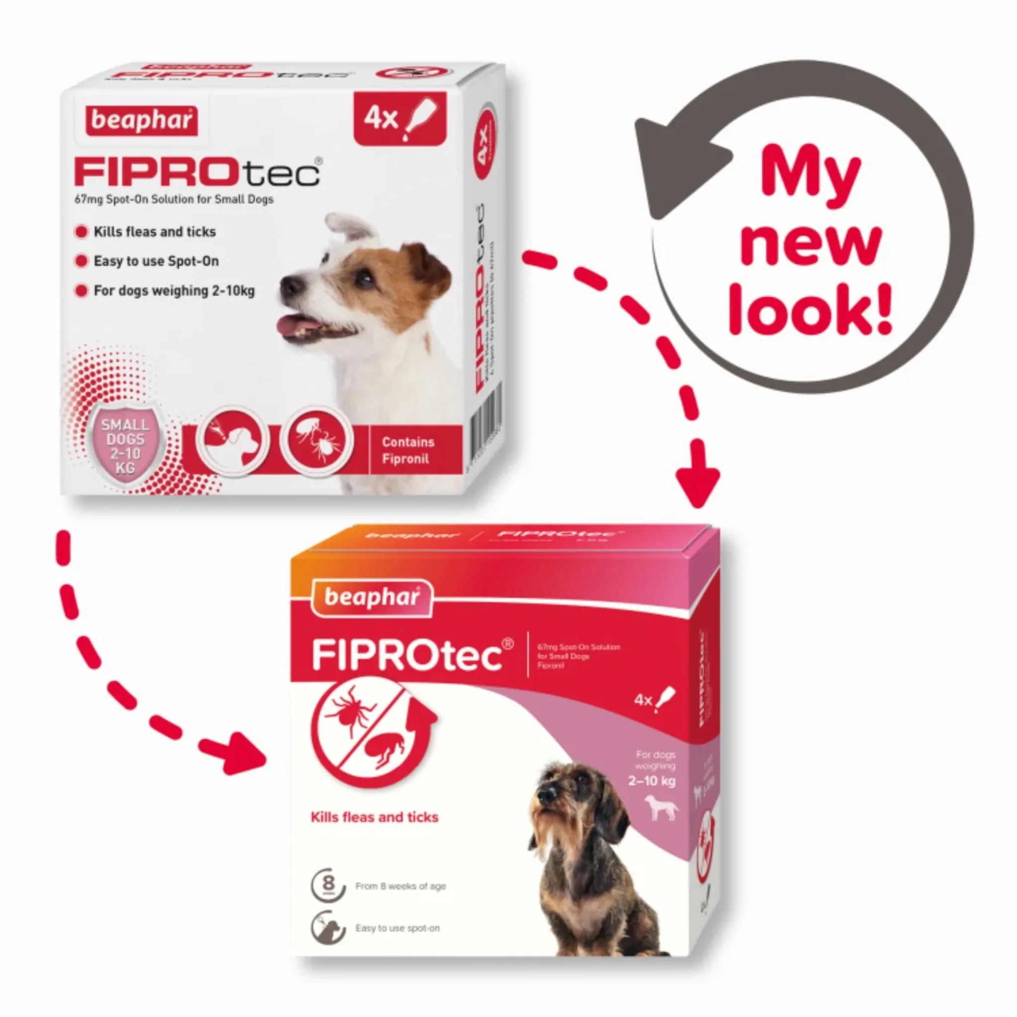 Beaphar Fiprotec For Small Dog - 4 Pipettes - Image 2