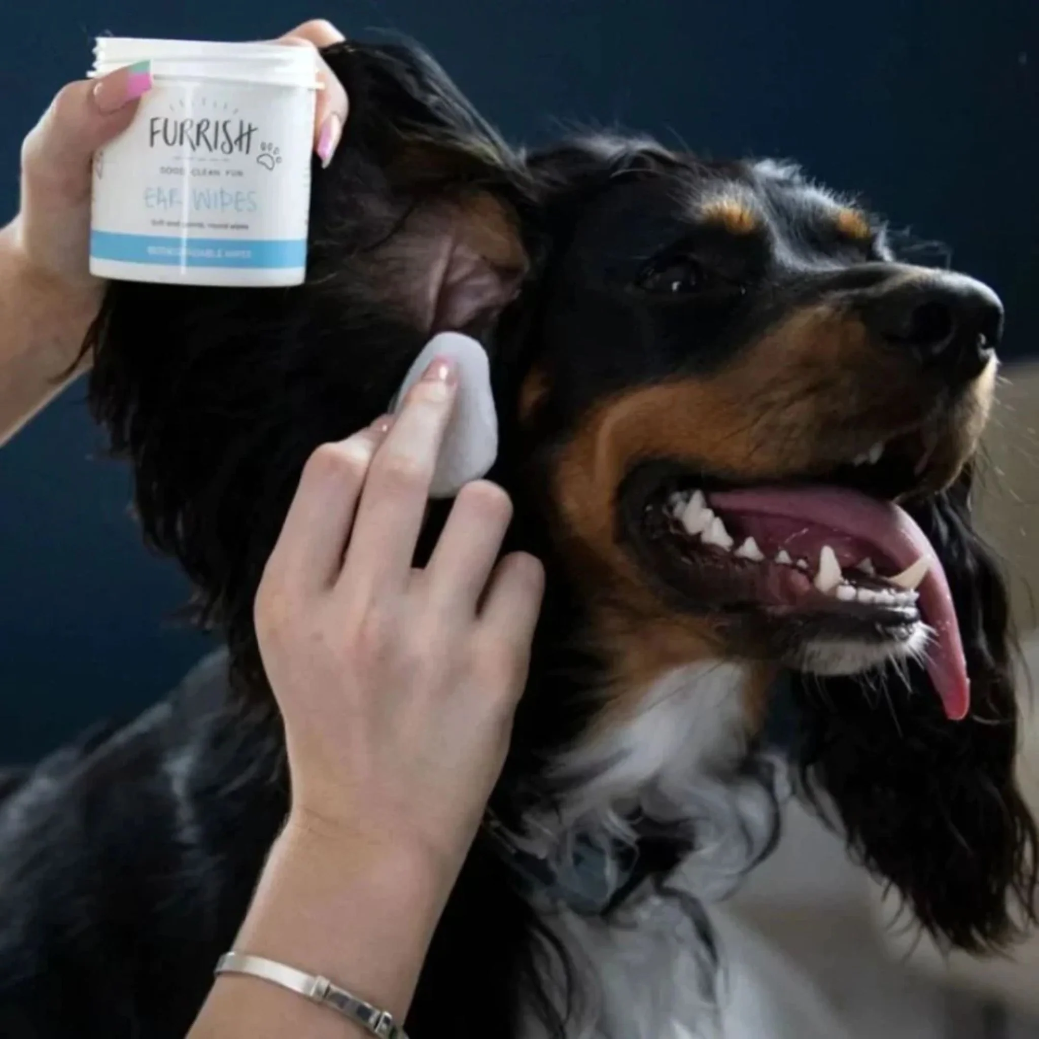 Furrish Ear Wipes For Pets – 100 Pack - Image 2