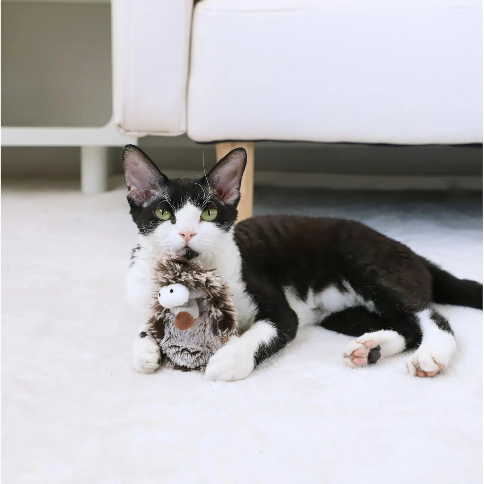 Gigwi Hedgehog Refillable Catnip With 3 Catnip Balls For Cat - Image 5