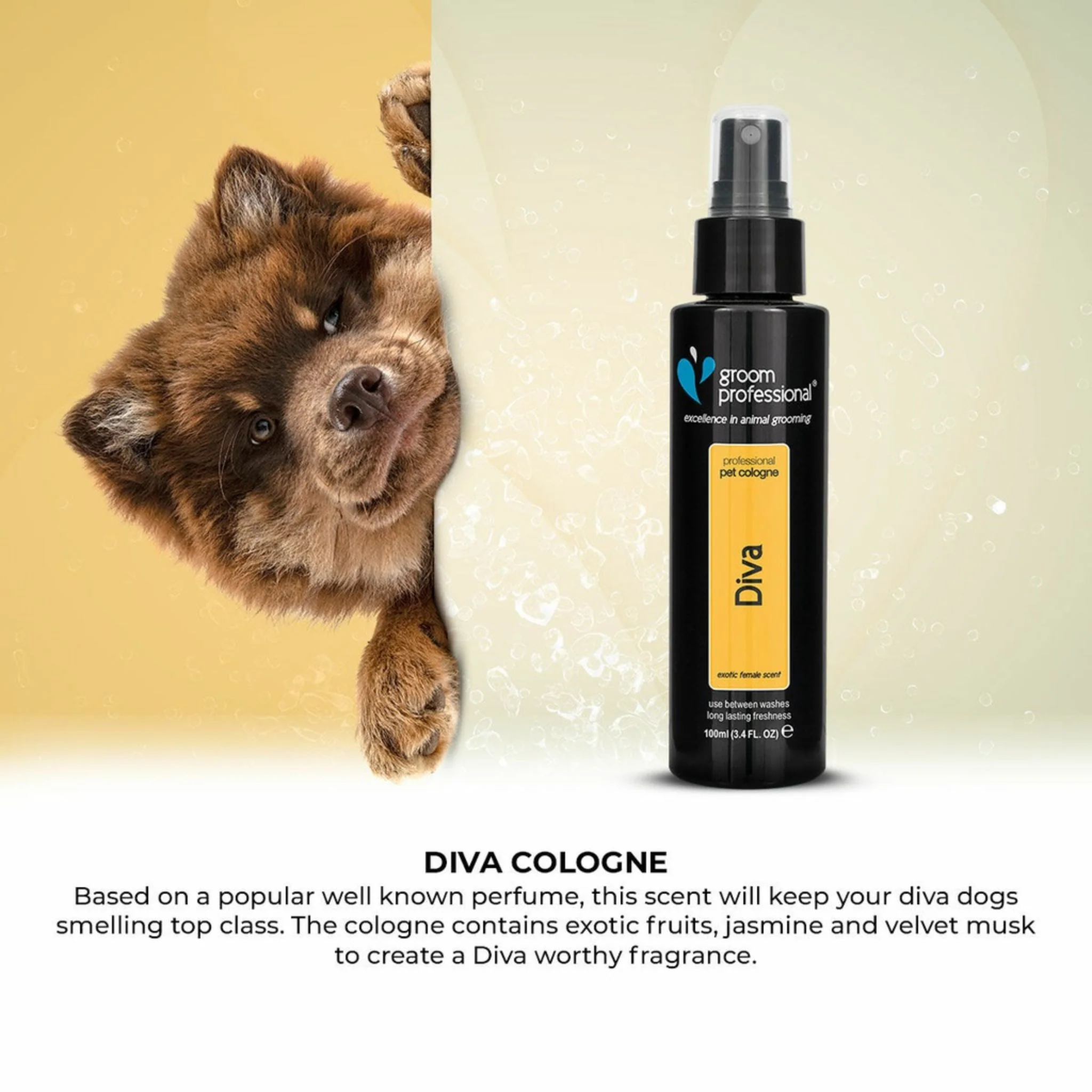 Groom Professional Diva Cologne – 100ml Exotic Female Scent - Image 5