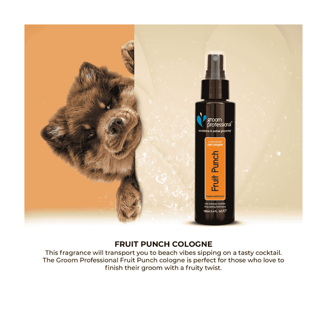 Groom Professional Fruit Punch Perfumet - 100ml - Image 4