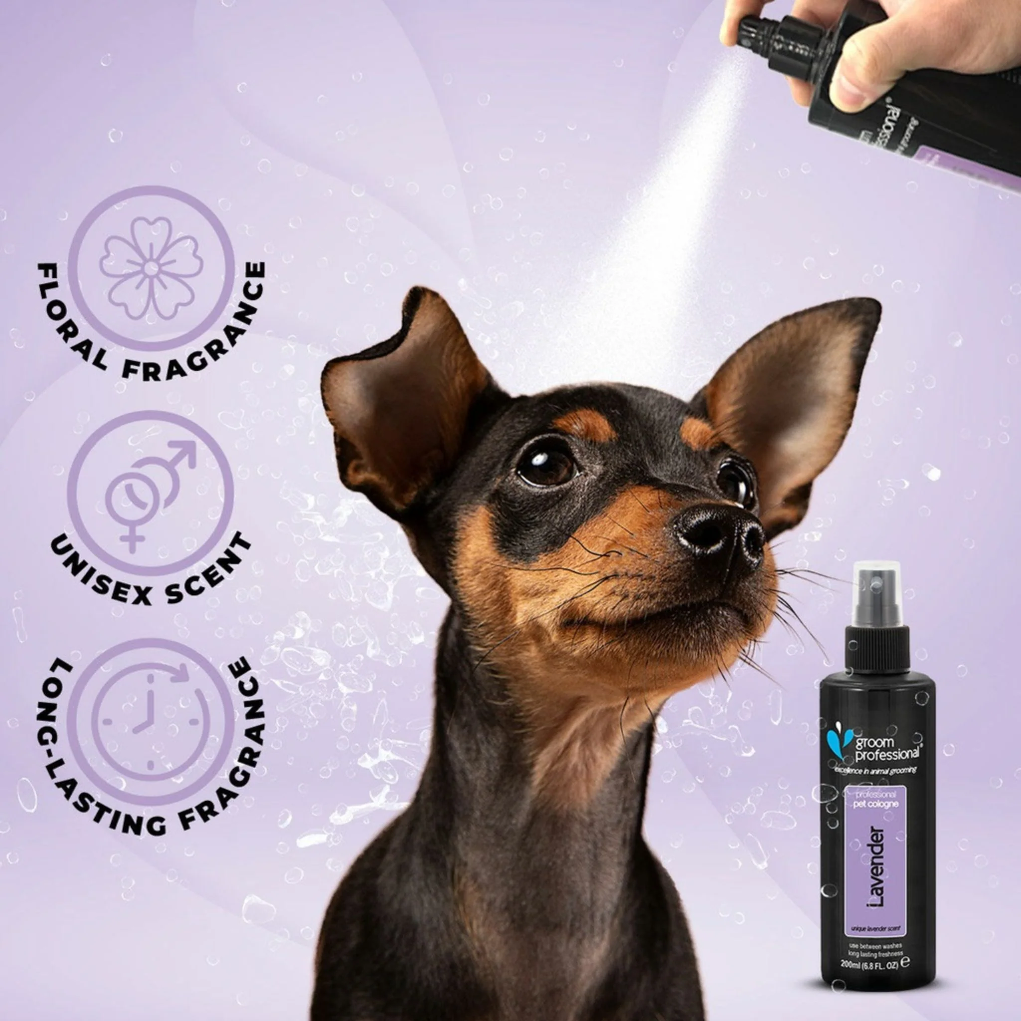 Groom Professional Lavender Dog Cologne - 200ml - Image 3
