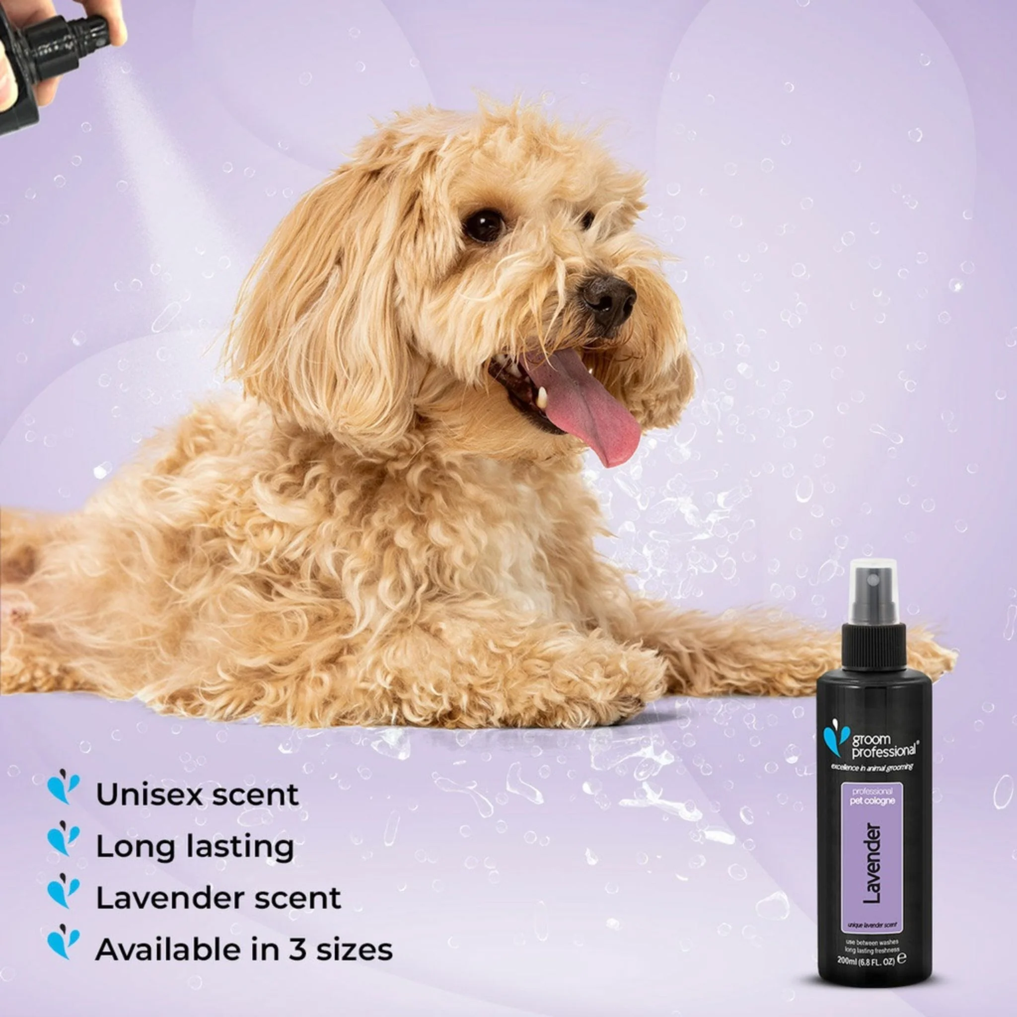 Groom Professional Lavender Dog Cologne - 200ml - Image 4