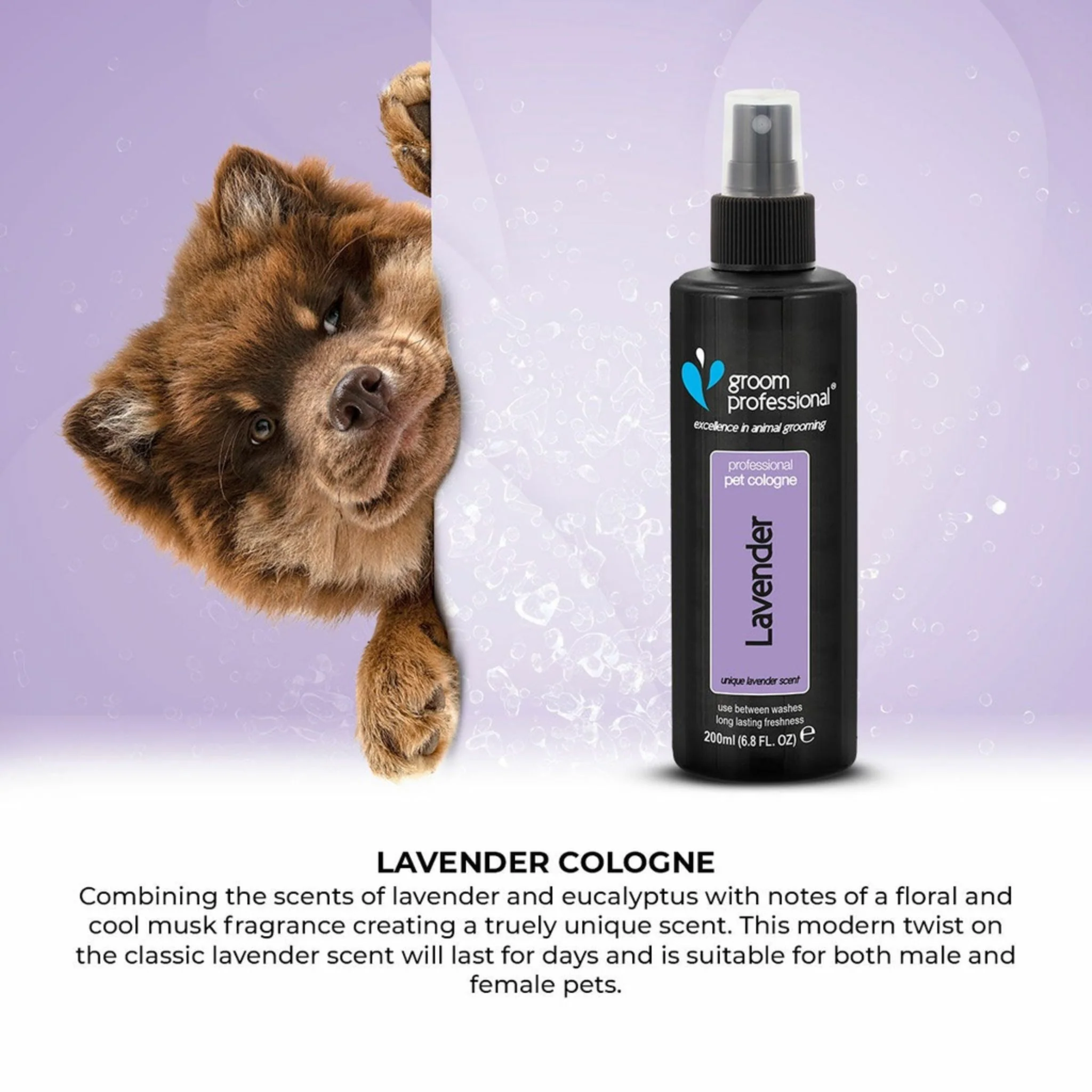 Groom Professional Lavender Dog Cologne - 200ml - Image 5
