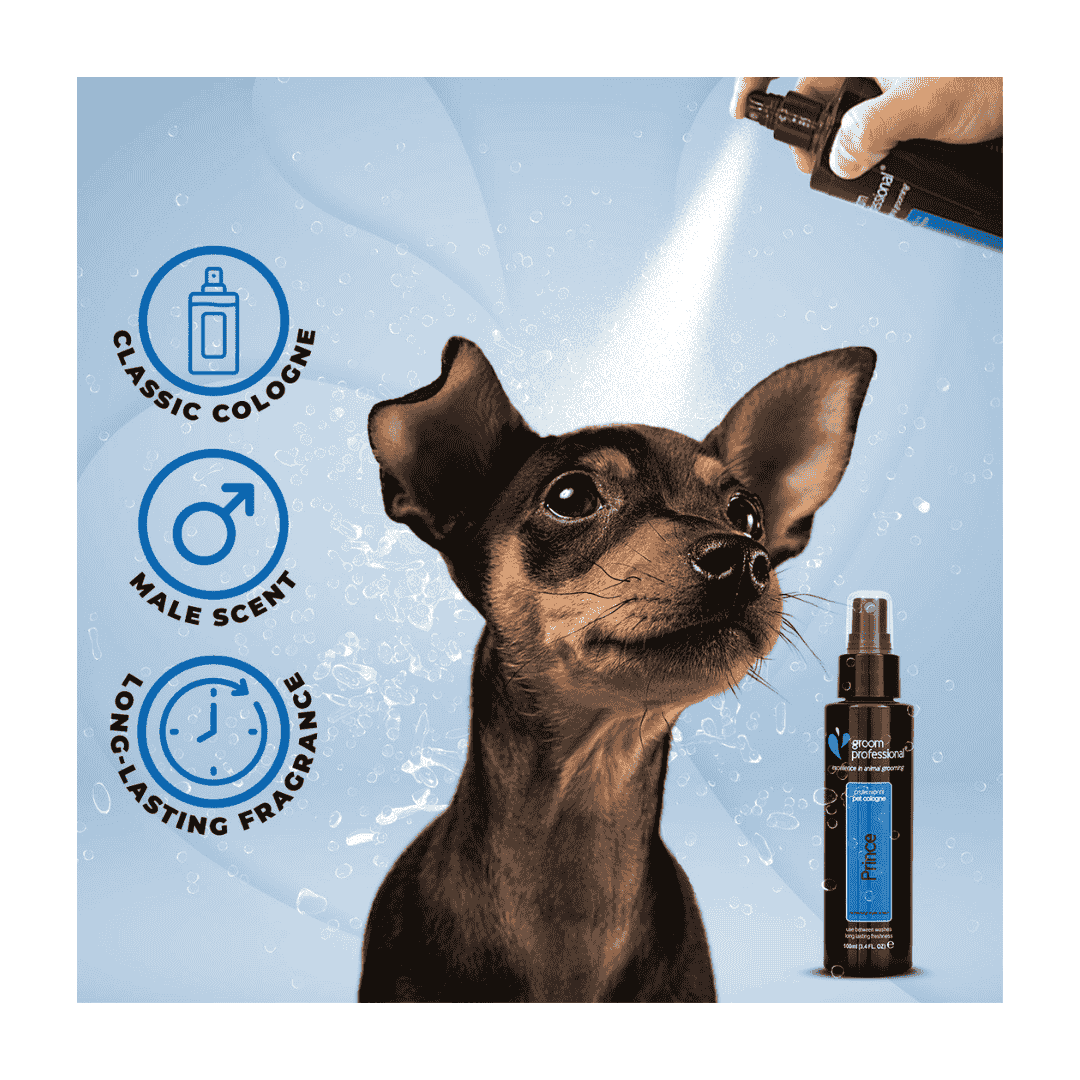 Groom Professional Prince Pet Perfume - 100ml - Image 3